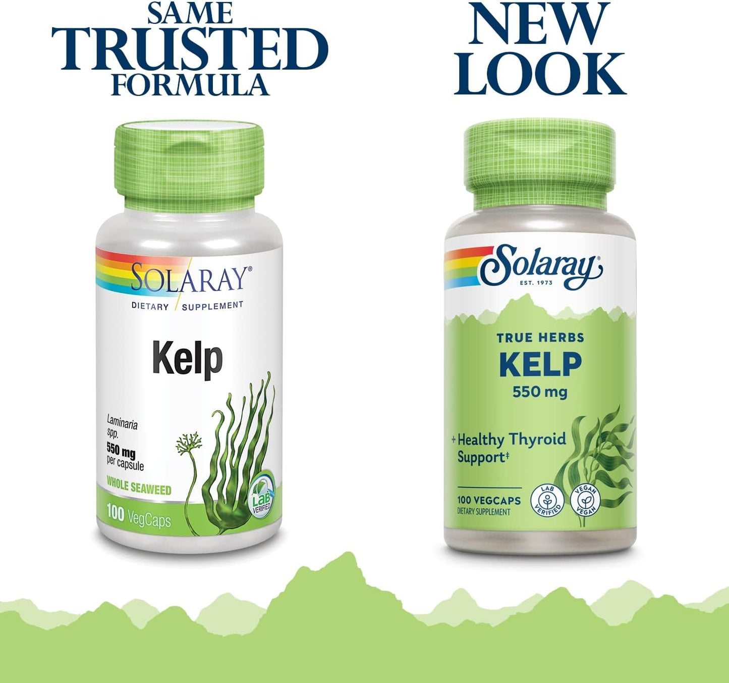 Pack of 2 Solaray Kelp 550 mg VegCaps for Healthy Thyroid, Energy & Metabolism Support with Folic Acid | Non-GMO