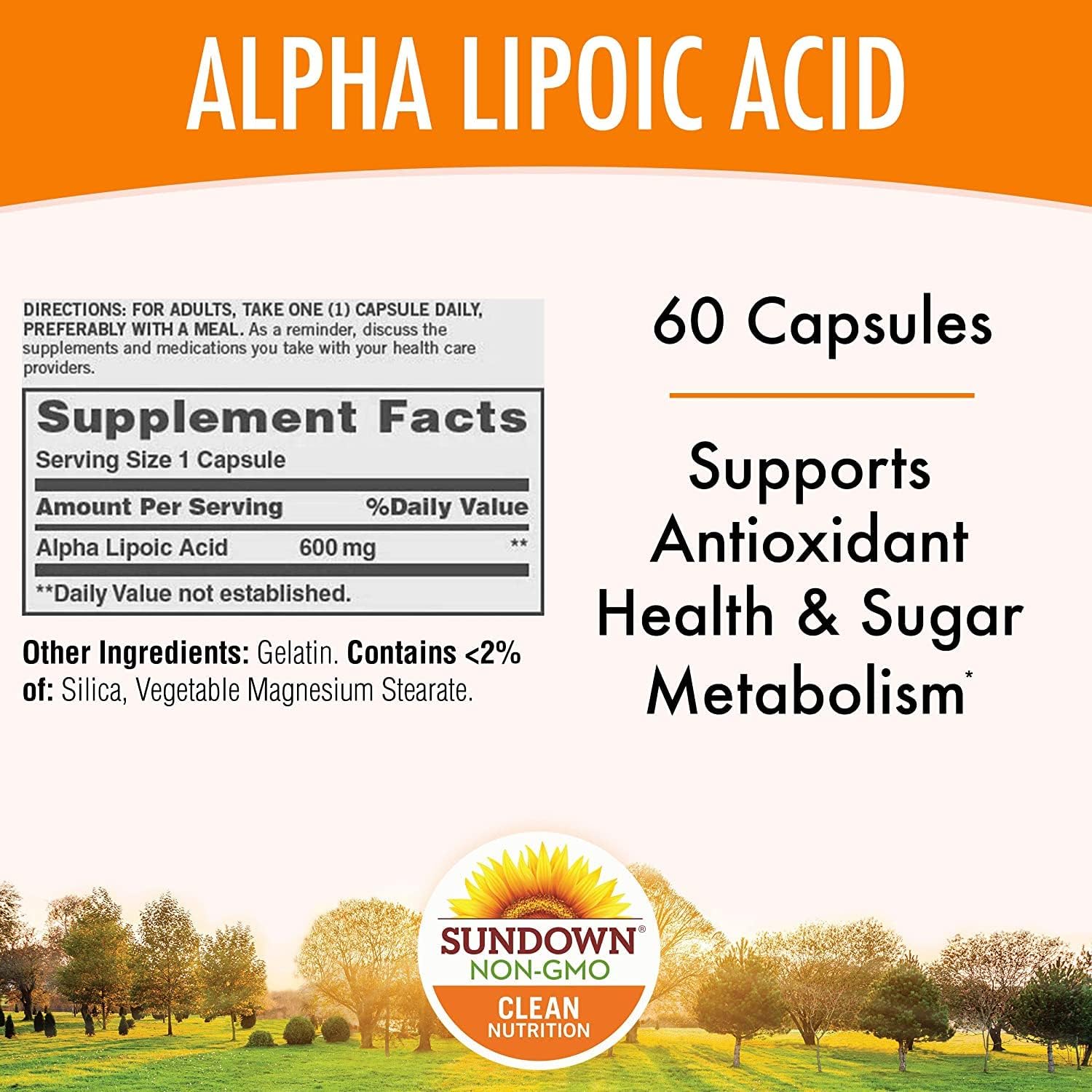 Pack of 240 Sundown Naturals Super Alpha Lipoic Acid 600mg Capsules