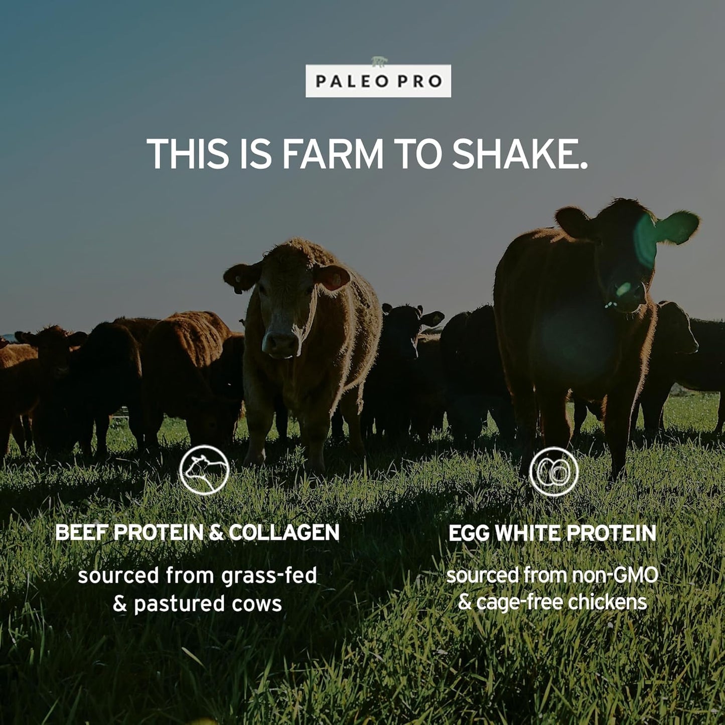 PaleoPro Grass-Fed Protein Powder - Gluten & Dairy Free, No Sugar, Soy, Grains, or Net Carbs - Paleo & Keto Friendly - Aztec Vanilla Flavor - 15 Servings - 1 lb