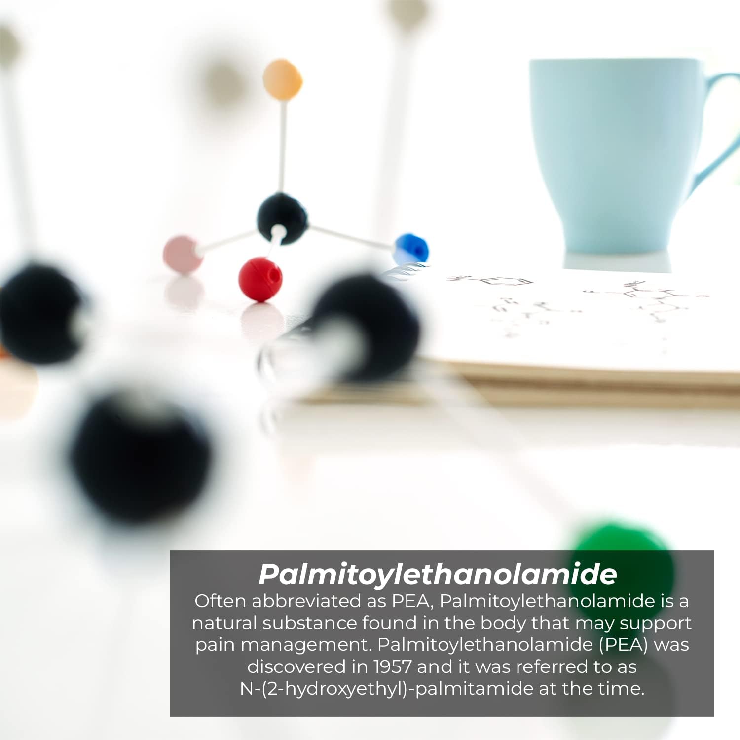 Palmitoylethanolamide Capsules 400mg | 60 Count | Pain Management Support | Anti-Inflammatory | Nootropics Depot