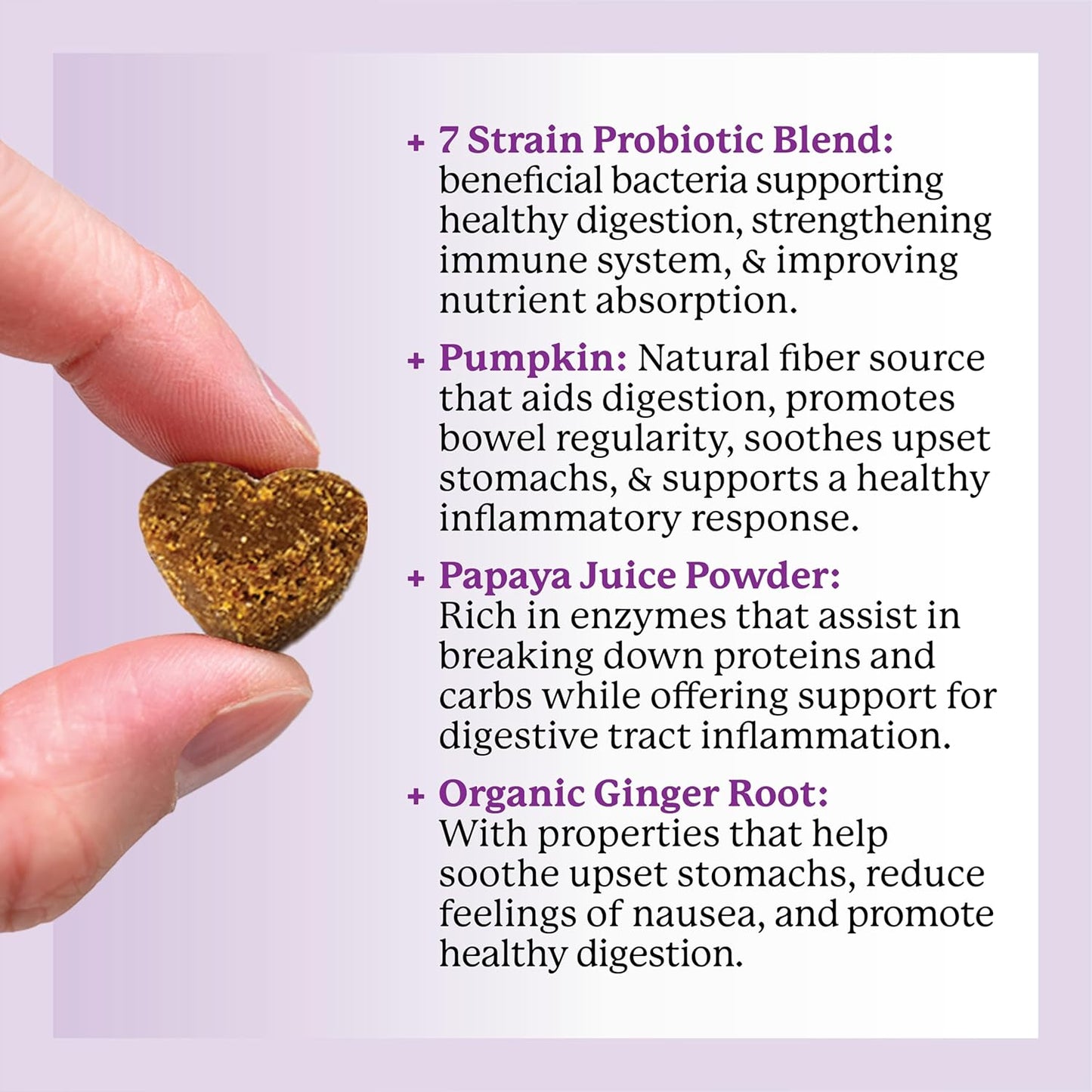 Peanut Butter Flavored Dog Probiotic Soft Chews with 7 Probiotics for Digestive Health and Bowel Support - 90 Chews