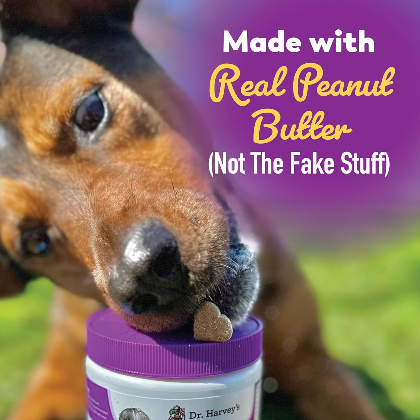 Peanut Butter Flavored Dog Probiotic Soft Chews with 7 Probiotics for Digestive Health and Bowel Support - 90 Chews