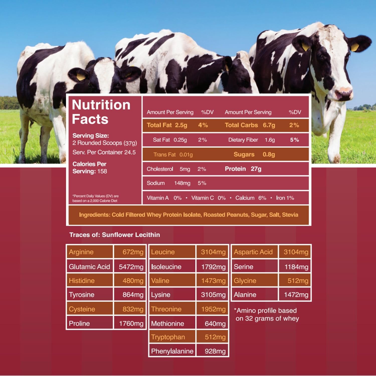 Peanut Butter Whey Isolate Protein Powder - 28g Protein, Low Fat, Cold Filtered & Undenatured - No Fillers, Artificial Sweeteners - 2 lb