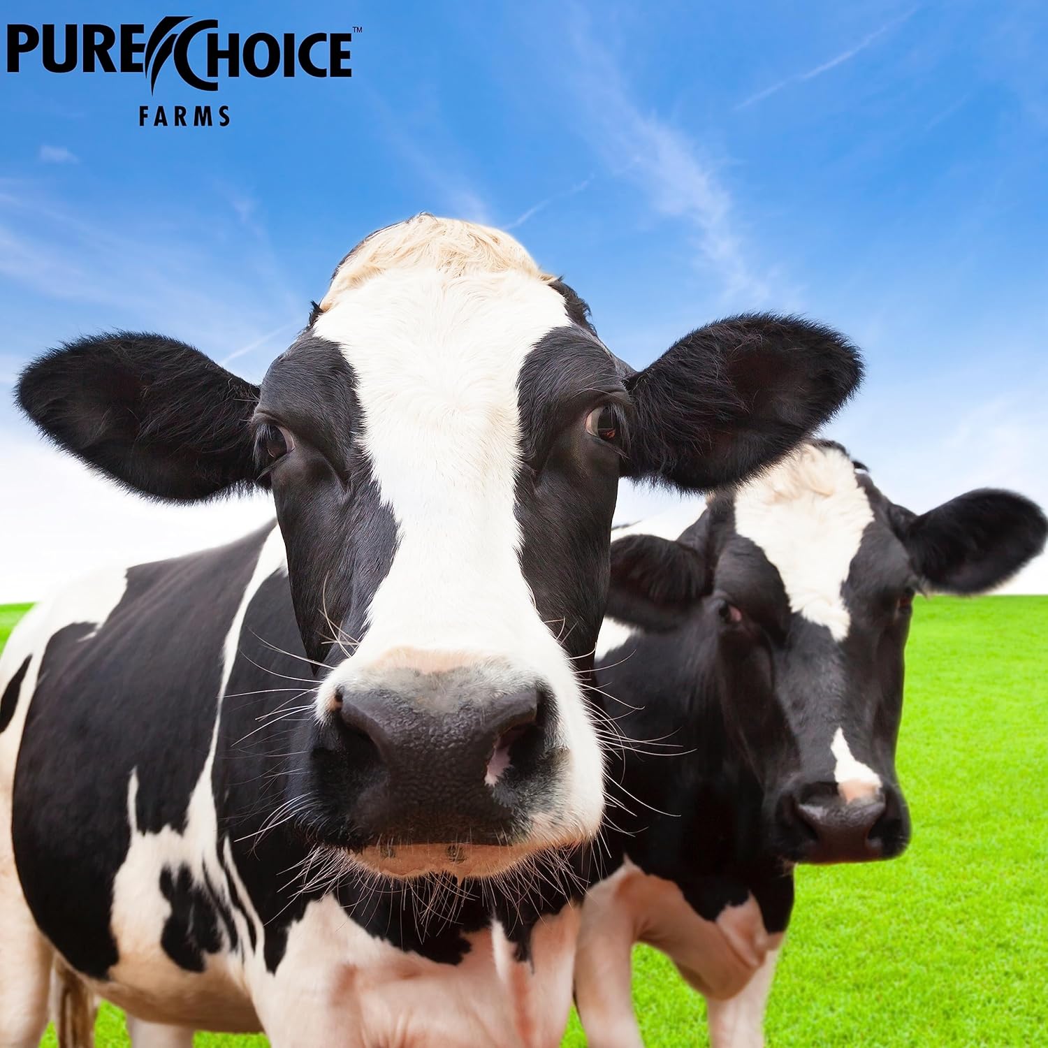 Peanut Butter Whey Isolate Protein Powder - 28g Protein, Low Fat, Cold Filtered & Undenatured - No Fillers, Artificial Sweeteners - 2 lb