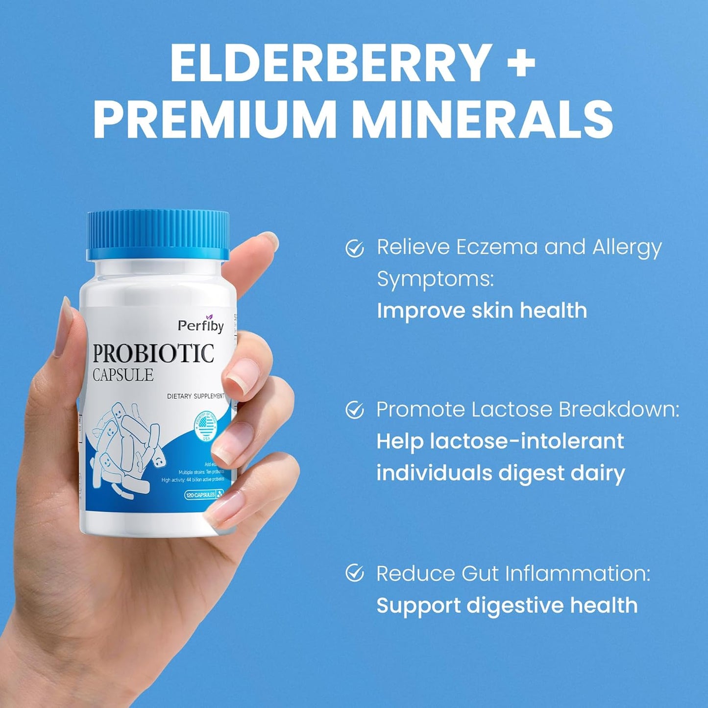 Perfiby Elderberry Probiotics: Supports Digestive & Immune Health, 120 Capsules