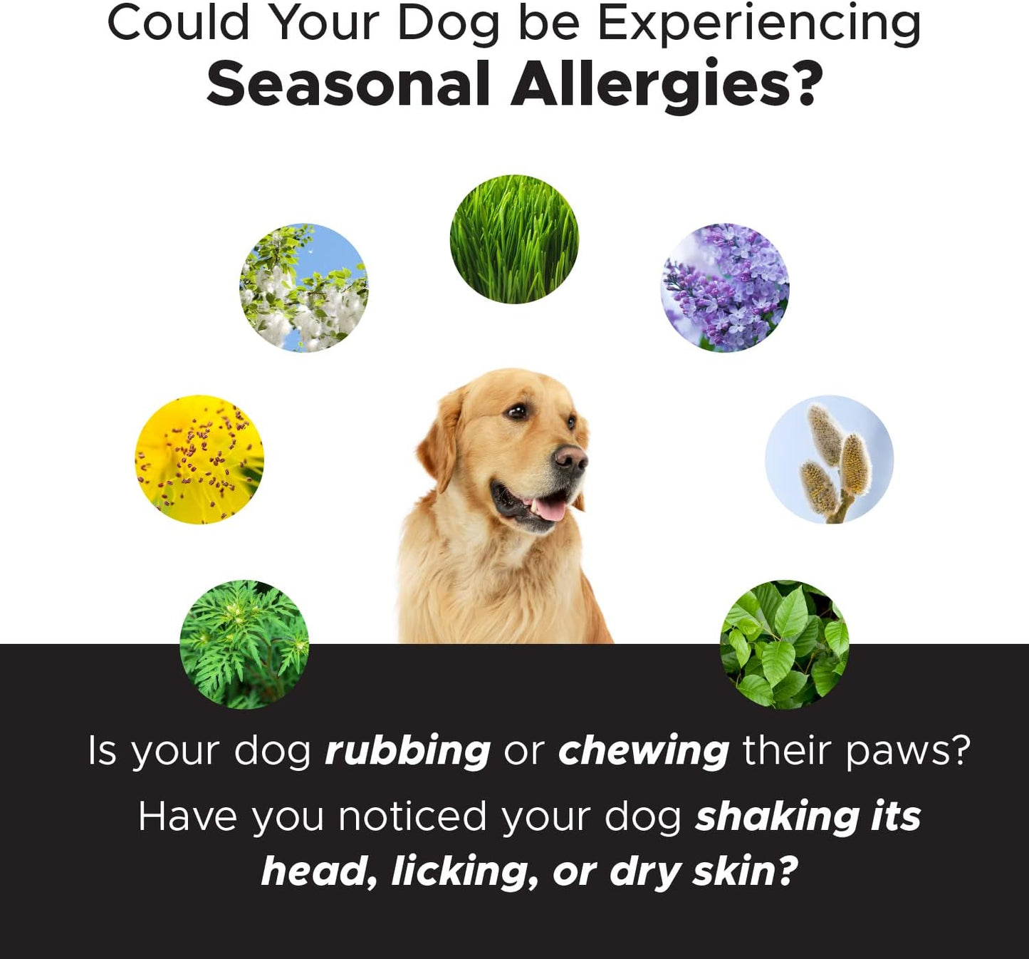 Pet Honesty Allergy Skin Health Soft Chews - Itch Relief, Fish Oil, Probiotics for Dogs, Shiny Coats, Reduce Shedding - 90 Ct (Duck)