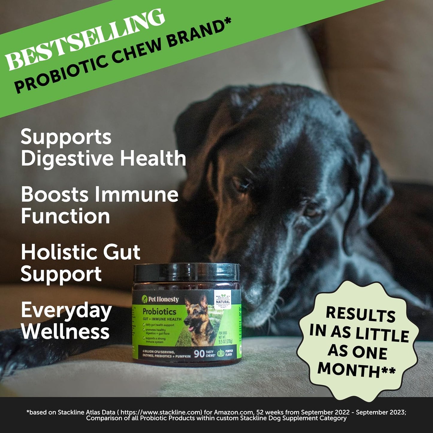 Pet Honesty Probiotics Bundle: Digestive Enzymes for Dog Gut Health - Duck Flavored Chews and Powder for Diarrhea and Bowel Support (90 ct)
