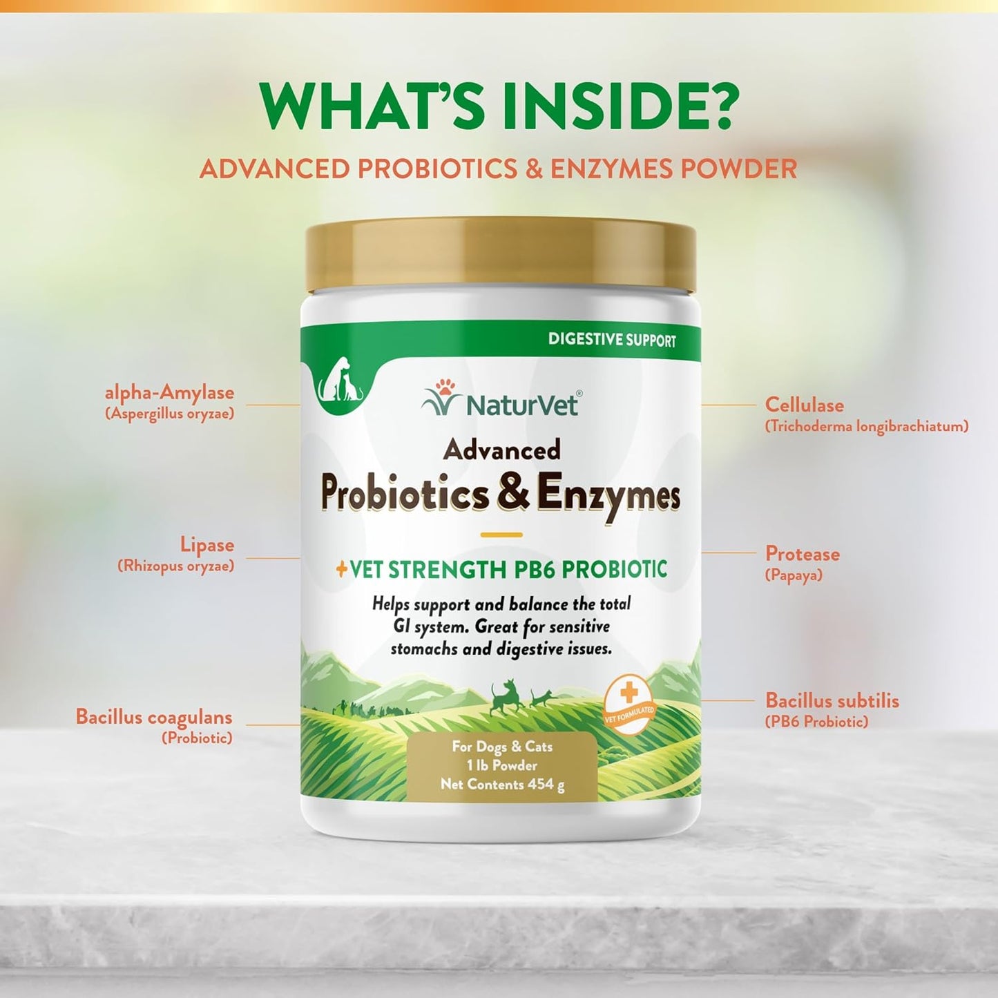 Pet Probiotic & Enzyme Supplement - Veterinarian Strength PB6 Probiotic Blend for Sensitive Stomachs in Dogs & Cats - 1 lb
