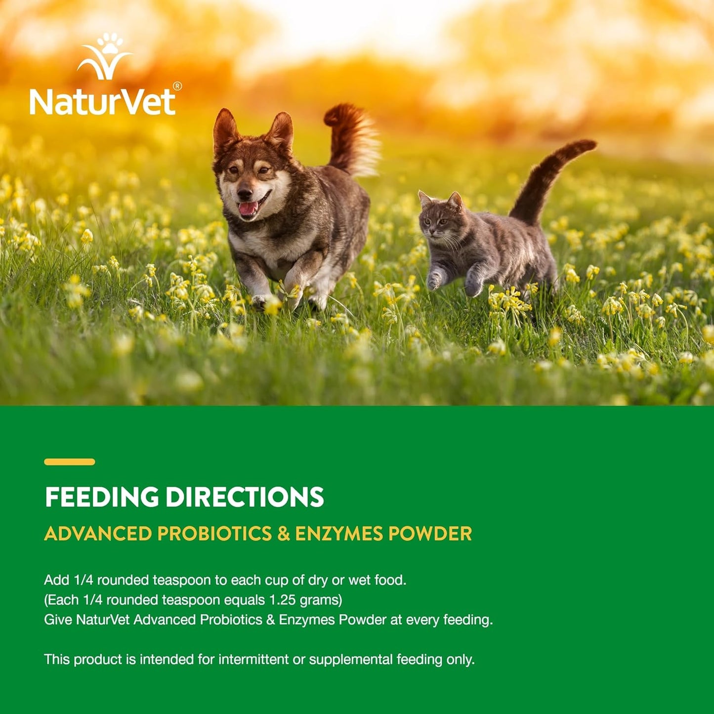 Pet Probiotic & Enzyme Supplement - Veterinarian Strength PB6 Probiotic Blend for Sensitive Stomachs in Dogs & Cats - 1 lb