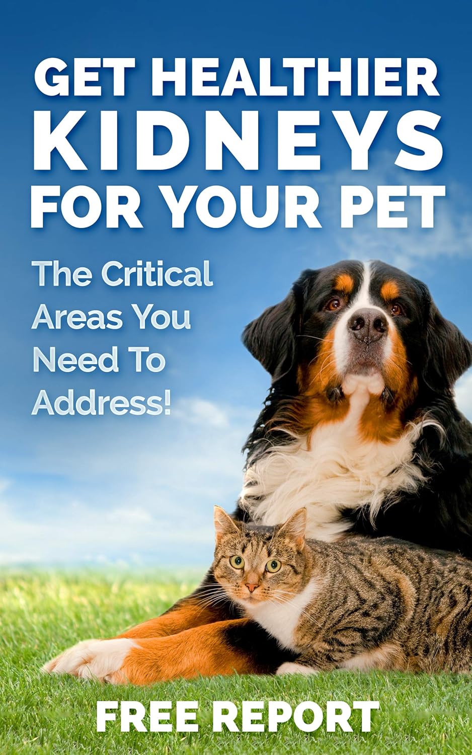 Pet Renal Health Supplement for Cats & Dogs - Kidney Restore 3 Pack to Support Normal Kidney Function, Creatinine Levels - Feline & Canine Kidney Health Support