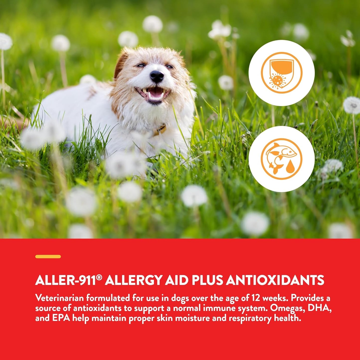 Pet Supplement for Allergies - NaturVet Aller-911 Advanced Formula with Omegas, DHA, EPA - Supports Immune System, Respiratory Health, Skin Moisture - 70 Soft Chews
