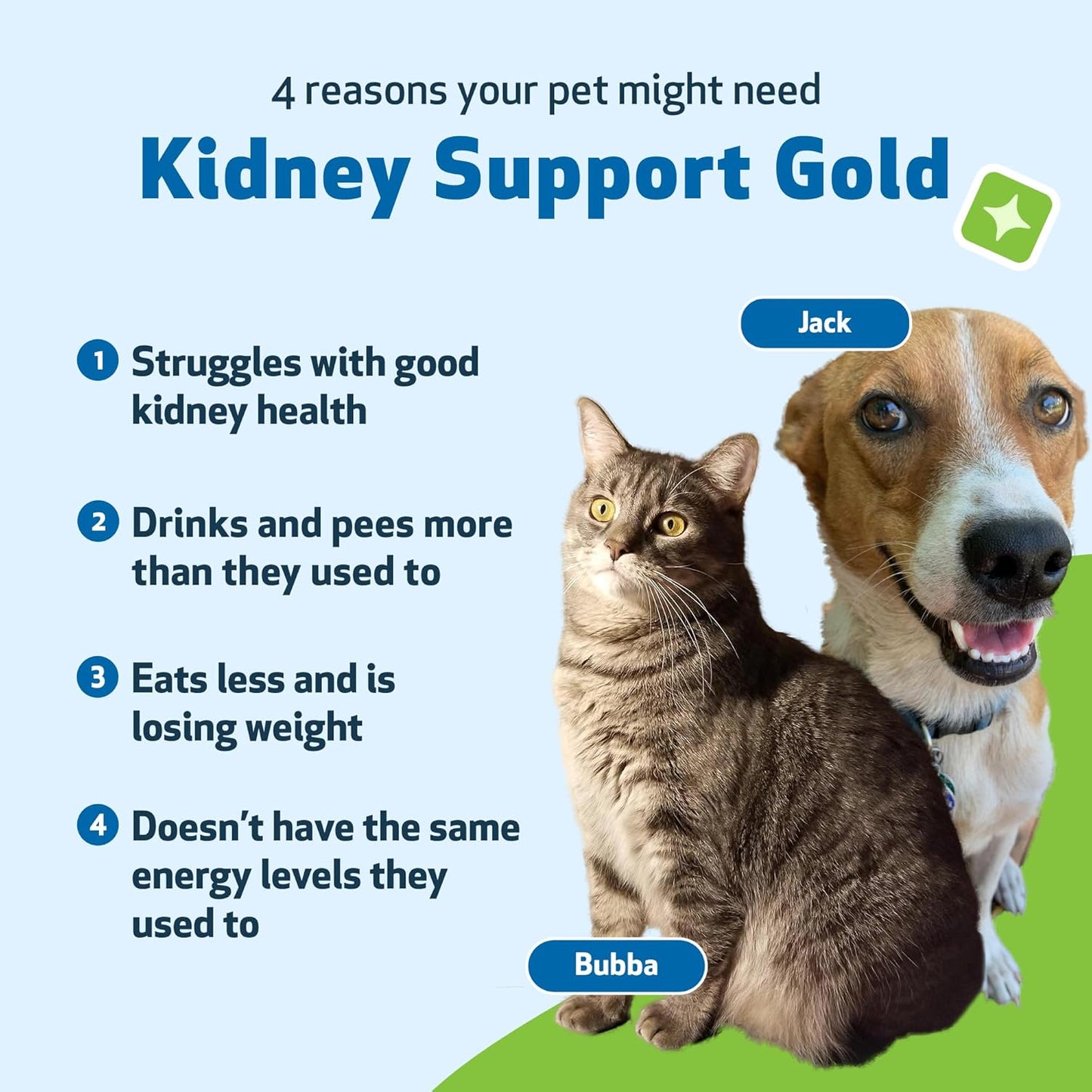 Pet Wellbeing Kidney Support Gold - Natural Supplement for Dog Kidney Health (4 fl oz)