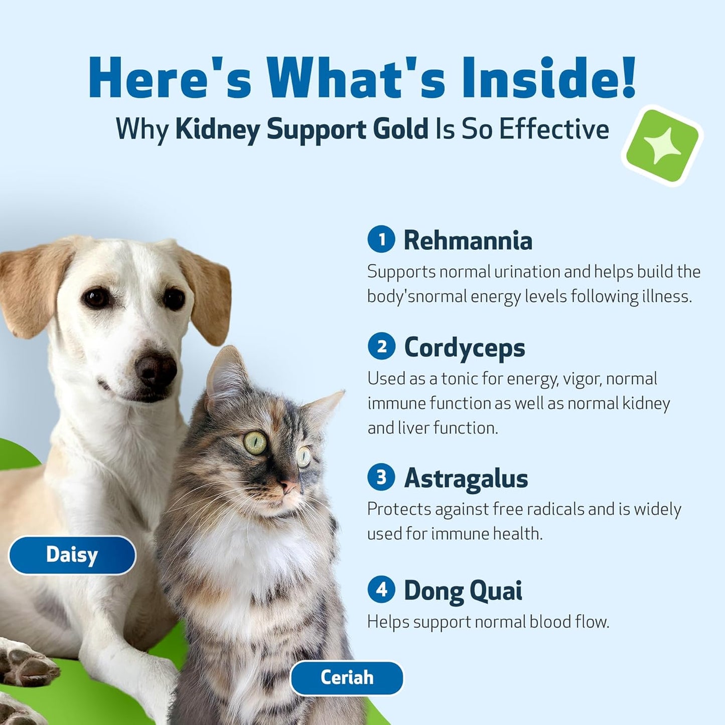 Pet Wellbeing Kidney Support Gold - Natural Supplement for Dog Kidney Health (4 fl oz)