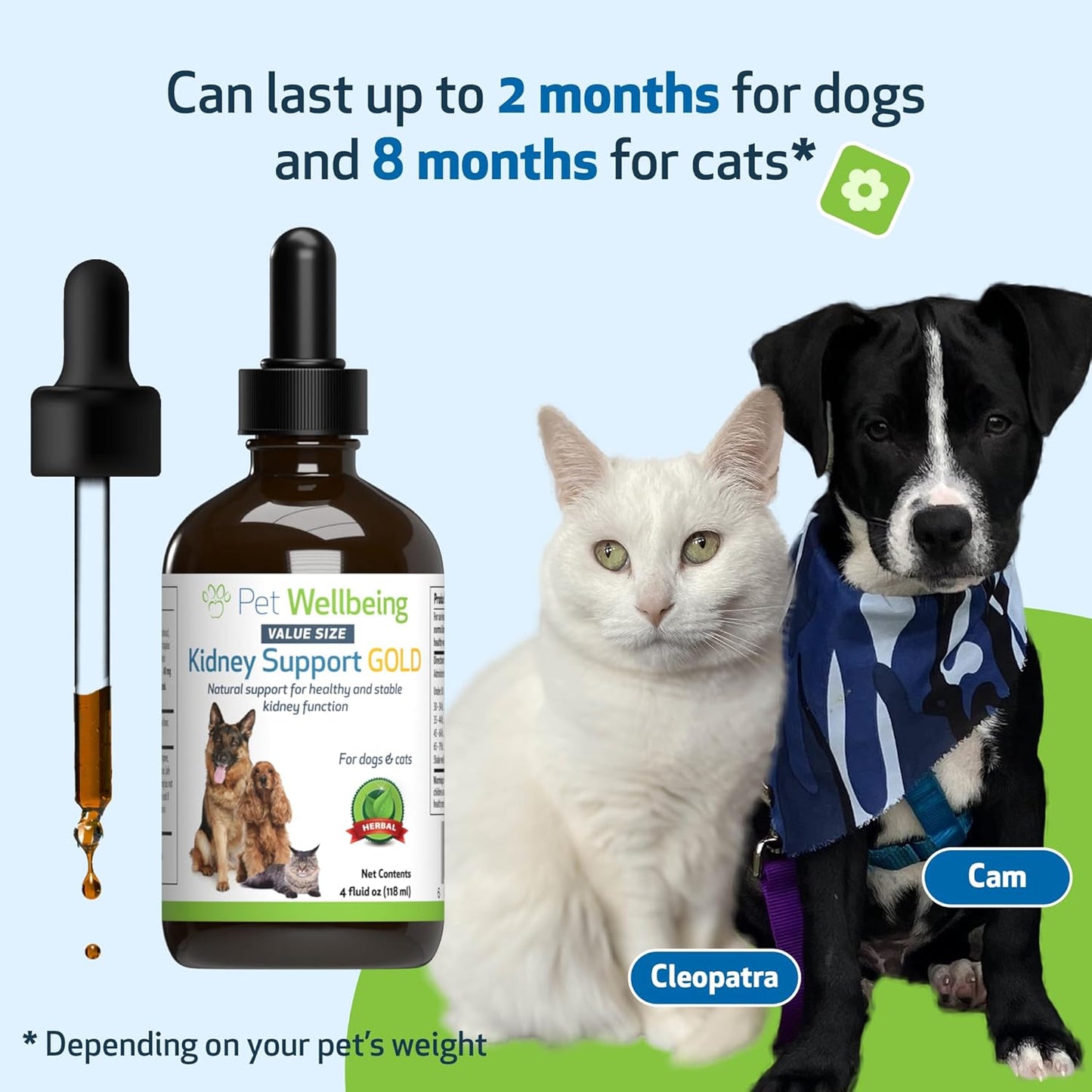 Pet Wellbeing Kidney Support Gold - Natural Supplement for Dog Kidney Health (4 fl oz)