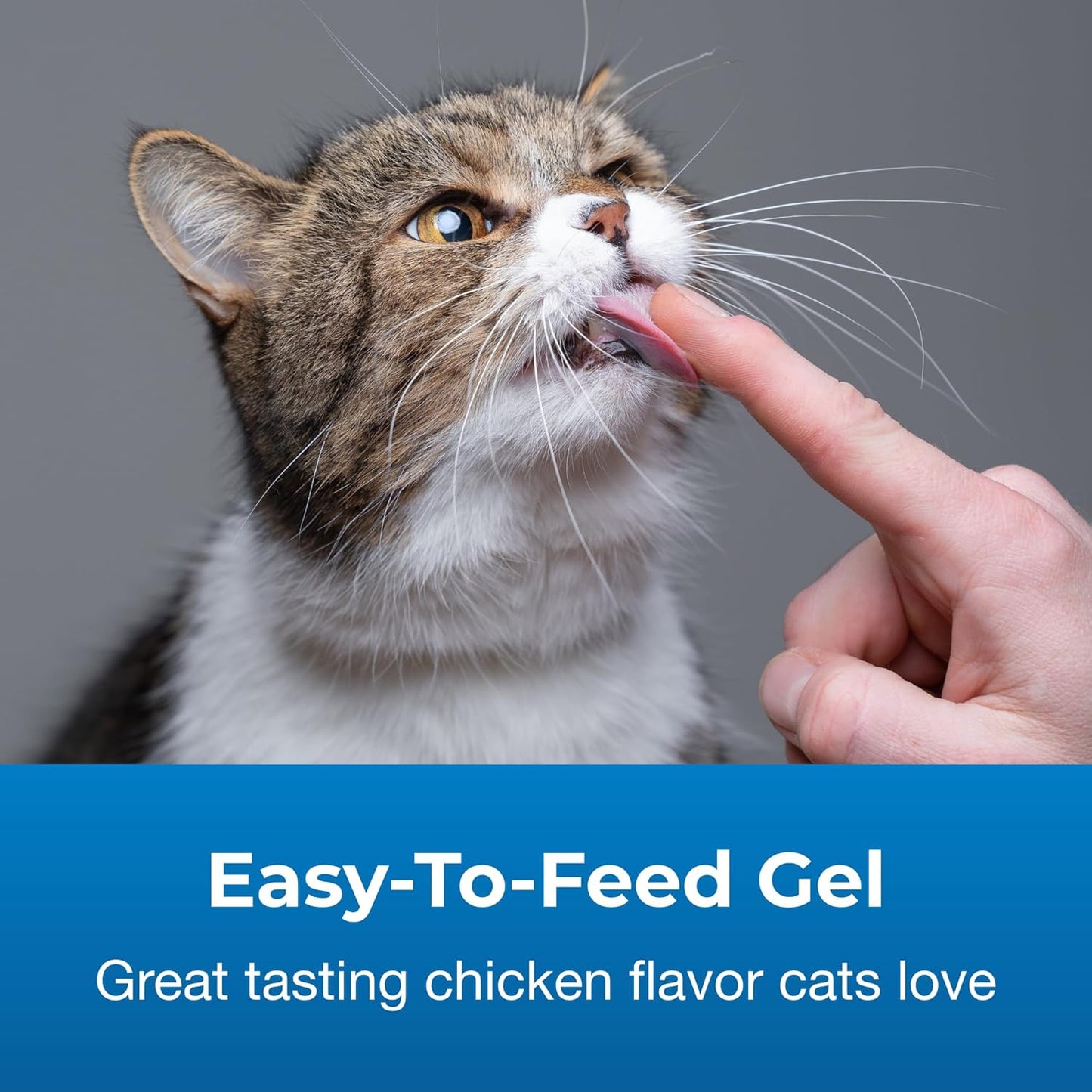 PetAg Cat Vitamin & Mineral Gel Supplement - 3.5 oz, Pack of 2 - Essential Daily Nutrients for Cats 4+ Months - Easily Digestible Formula