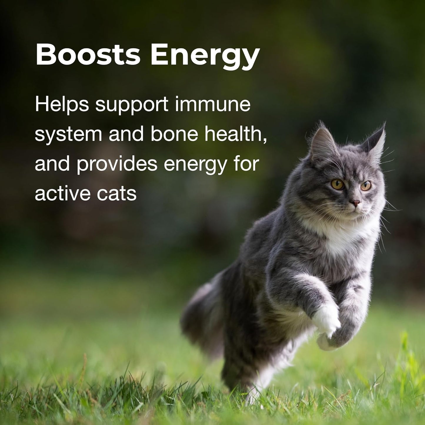 PetAg Cat Vitamin & Mineral Gel Supplement - 3.5 oz, Pack of 2 - Essential Daily Nutrients for Cats 4+ Months - Easily Digestible Formula