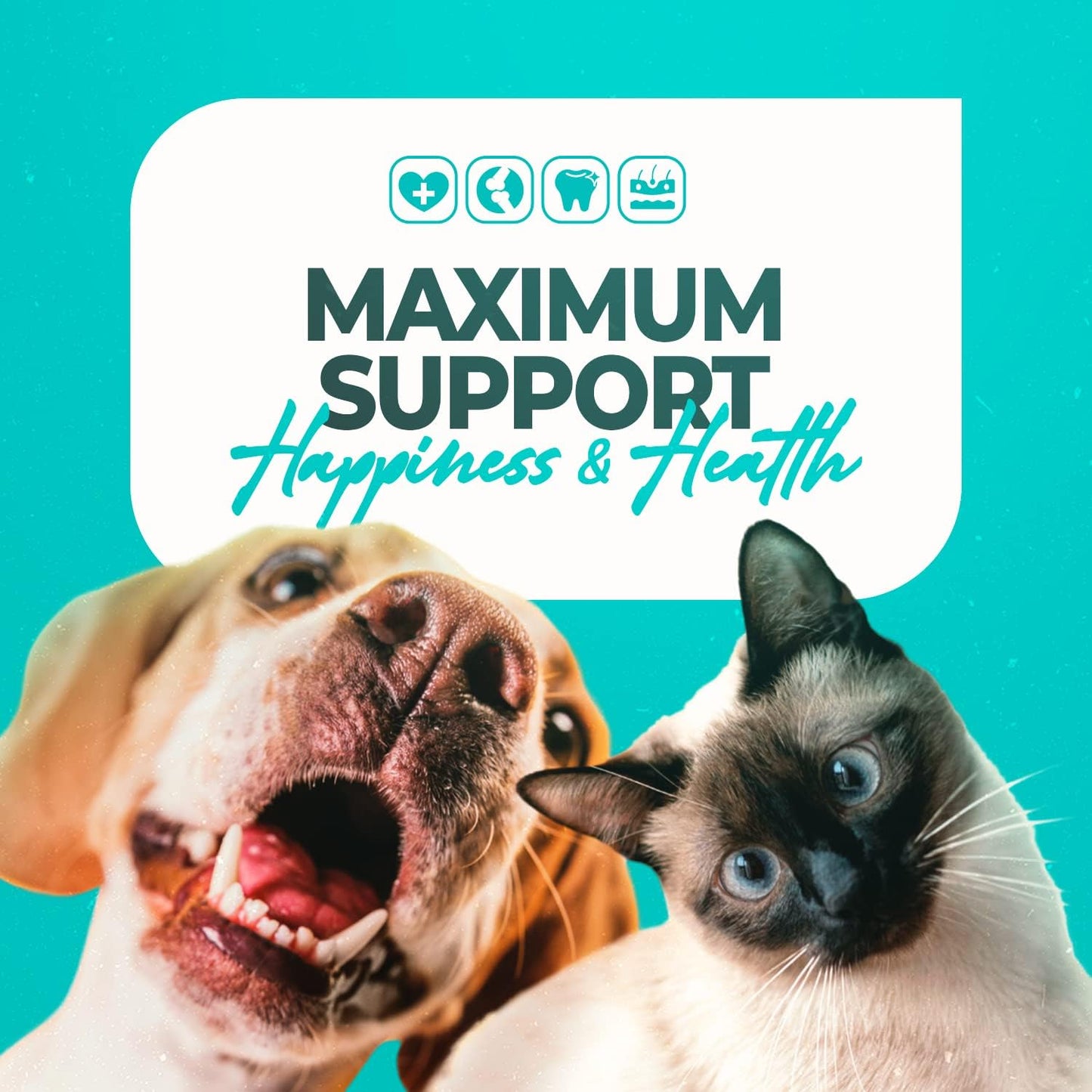 Petdentist Probiotics for Dogs and Cats - 17 Bacterial Strains, 73 Billion CFUs, 90g Powder Supplements for Dental Health, Bad Breath, Digestion, Skin & Coat, Immunity Support