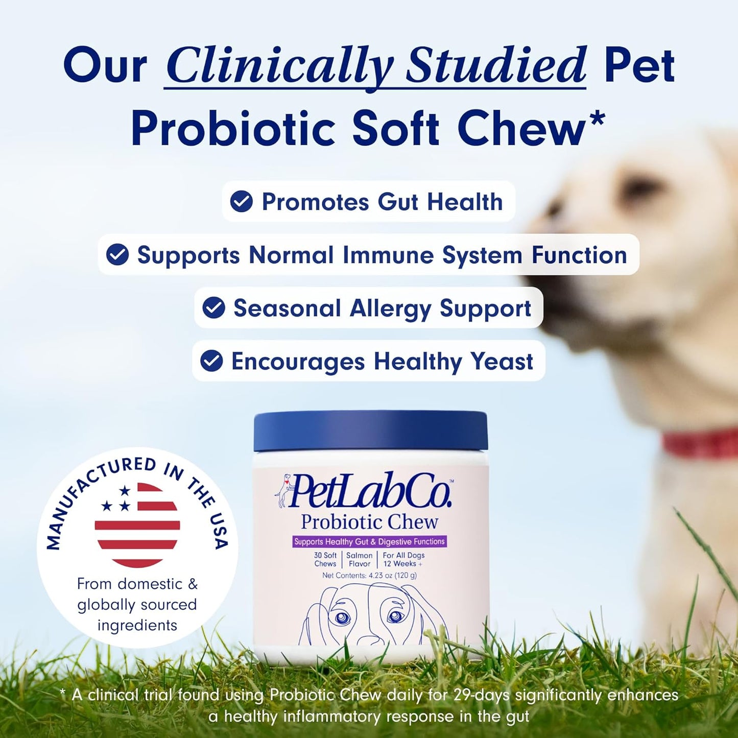 PetLab Co. Salmon Flavored Probiotic Soft Chews for Dogs - 60 Count - Supports Gut Health, Digestion, Diarrhea & Allergies