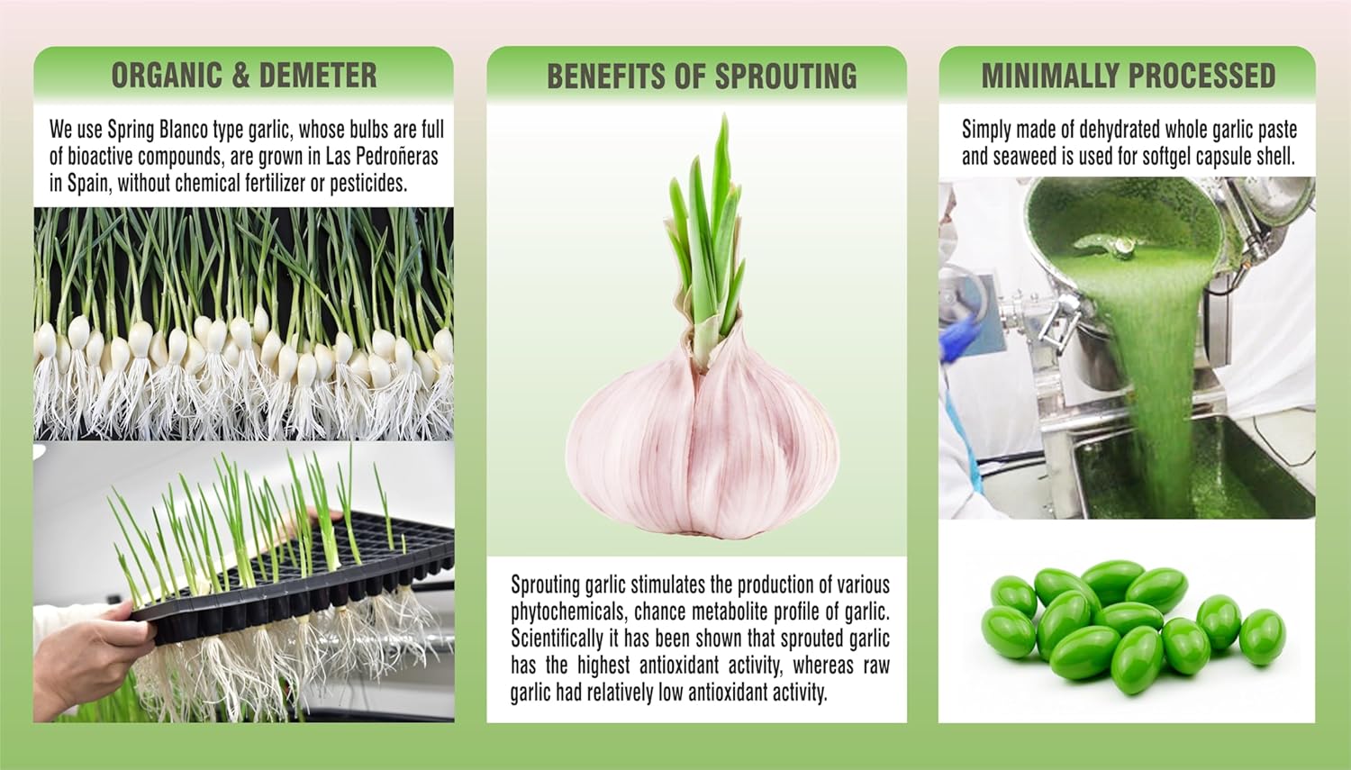 PHARMAKON Organic Sprouted Garlic Capsules (90 Count) - Reduced Odor, Wholesome Supplement