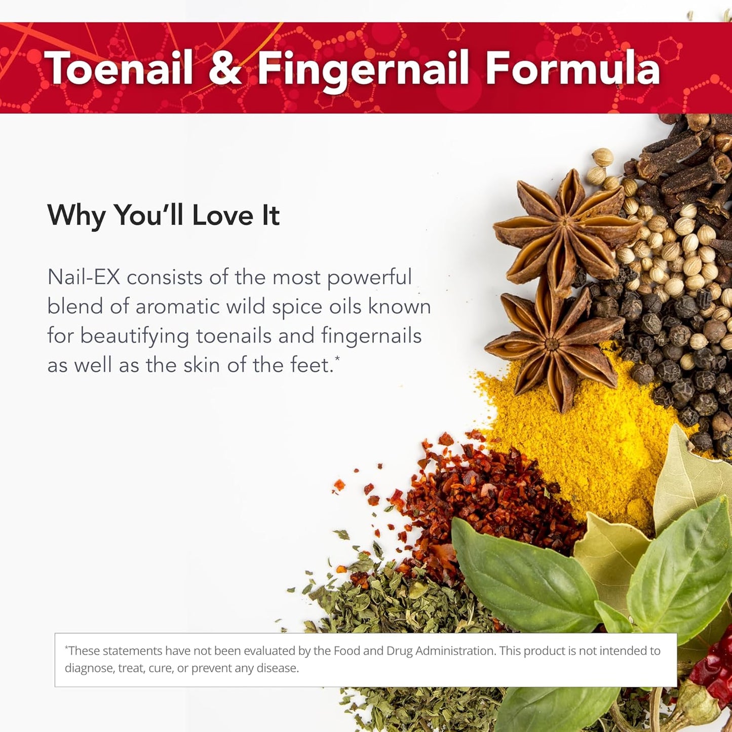 Physician's Strength Nail-EX Liquid - 1 fl oz - Promotes Healthy Nails & Skin - Toenail & Fingernail Support - 43 Servings