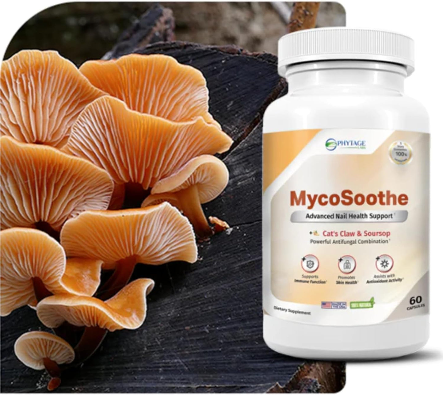 Phytage Labs MycoSoothe Advanced Hair, Skin, Nail & Immunity Support Formula - Double Pack