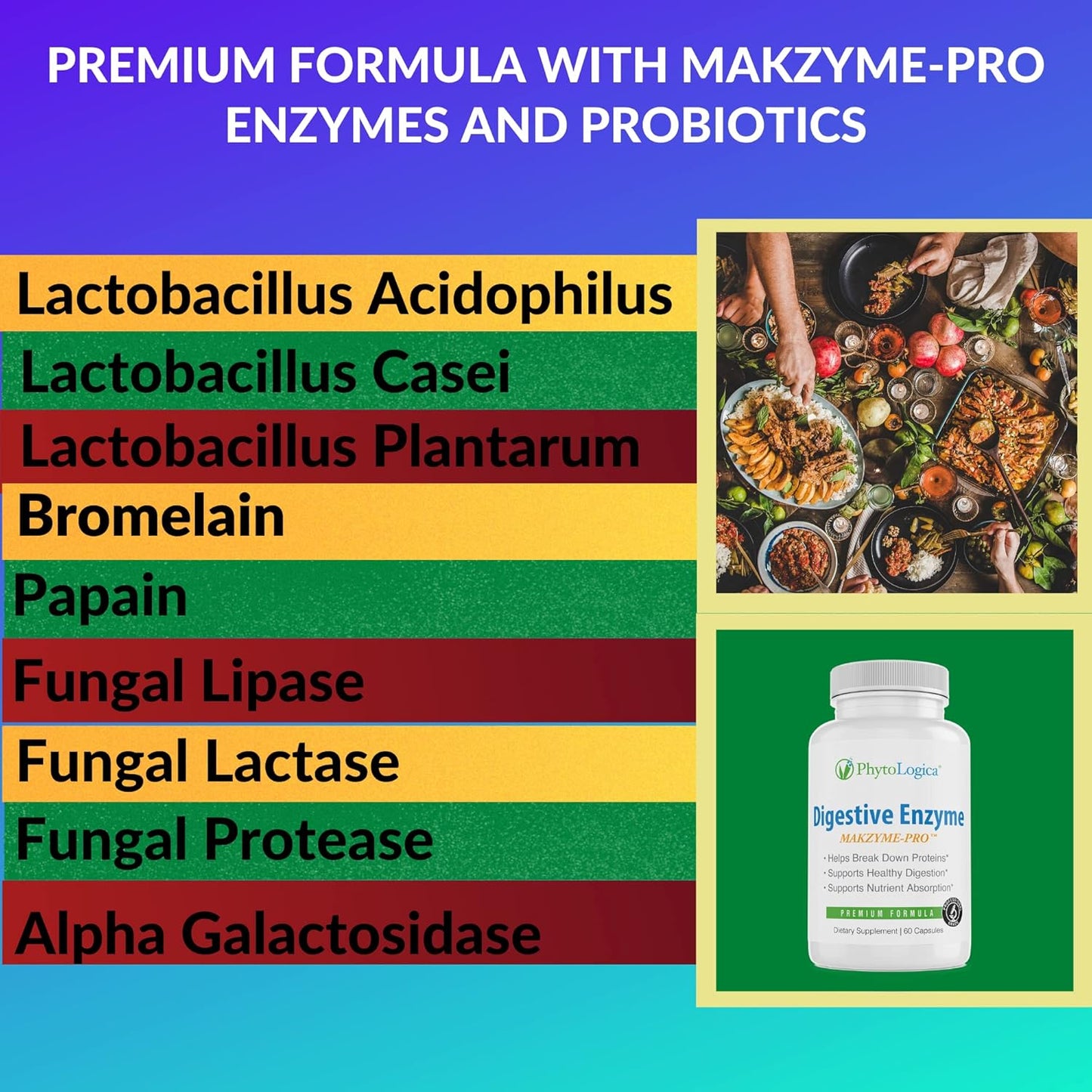 PhytoLogica Digestive Enzymes with Makzyme-Pro: Enzyme & Probiotic Supplement - Supports Digestion & Nutrition Absorption - Non-GMO, Gluten-Free, Vegan - 60 Capsules