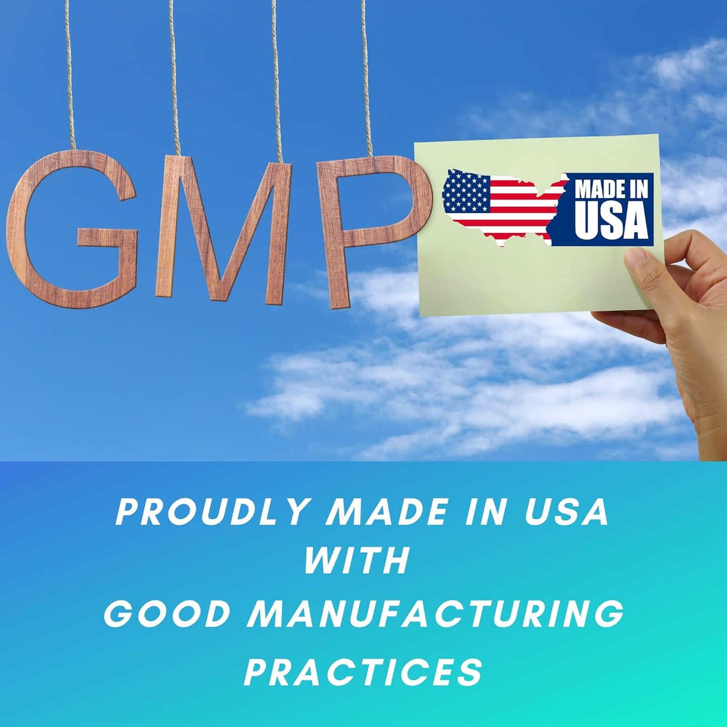 PhytoLogica Neuro Plus Brain and Focus Formula with Vitamins, Minerals, and Herb Extracts - Enhances Memory, Focus, and Mental Clarity - 60 Capsules