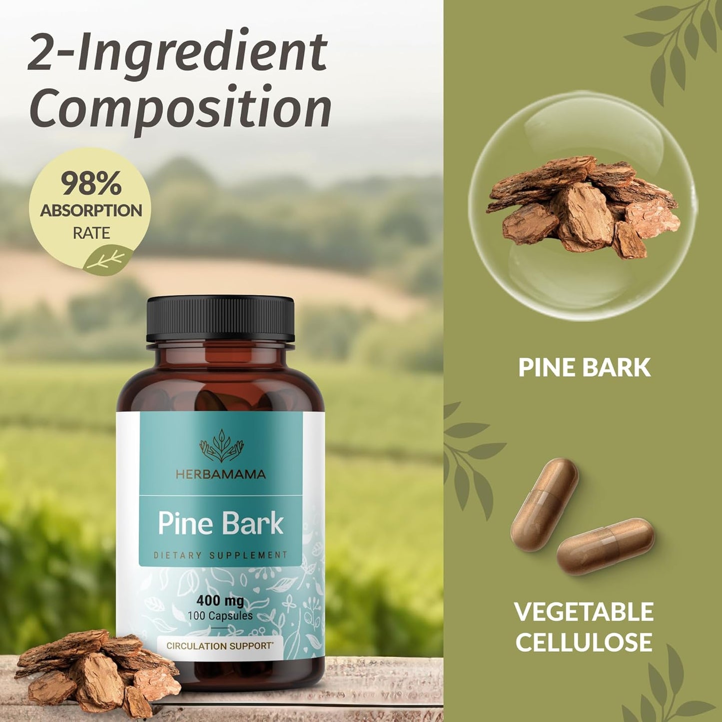 Pine Bark and CoQ10 Bundle - 400mg Capsules & 200mg Gummies - Vegan, Non-GMO - 2 Pack