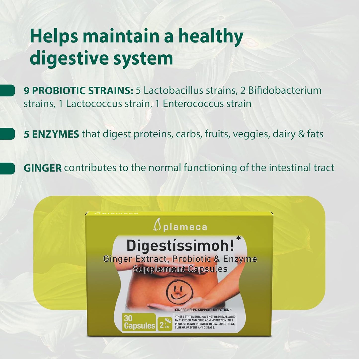 Plameca Digestíssimoh! Digestive Enzymes & Probiotics with Ginger Extract - 9 Strains for Gut Support & Meal Time Relief - Gluten-Free, Dairy-Free - 30 Capsules
