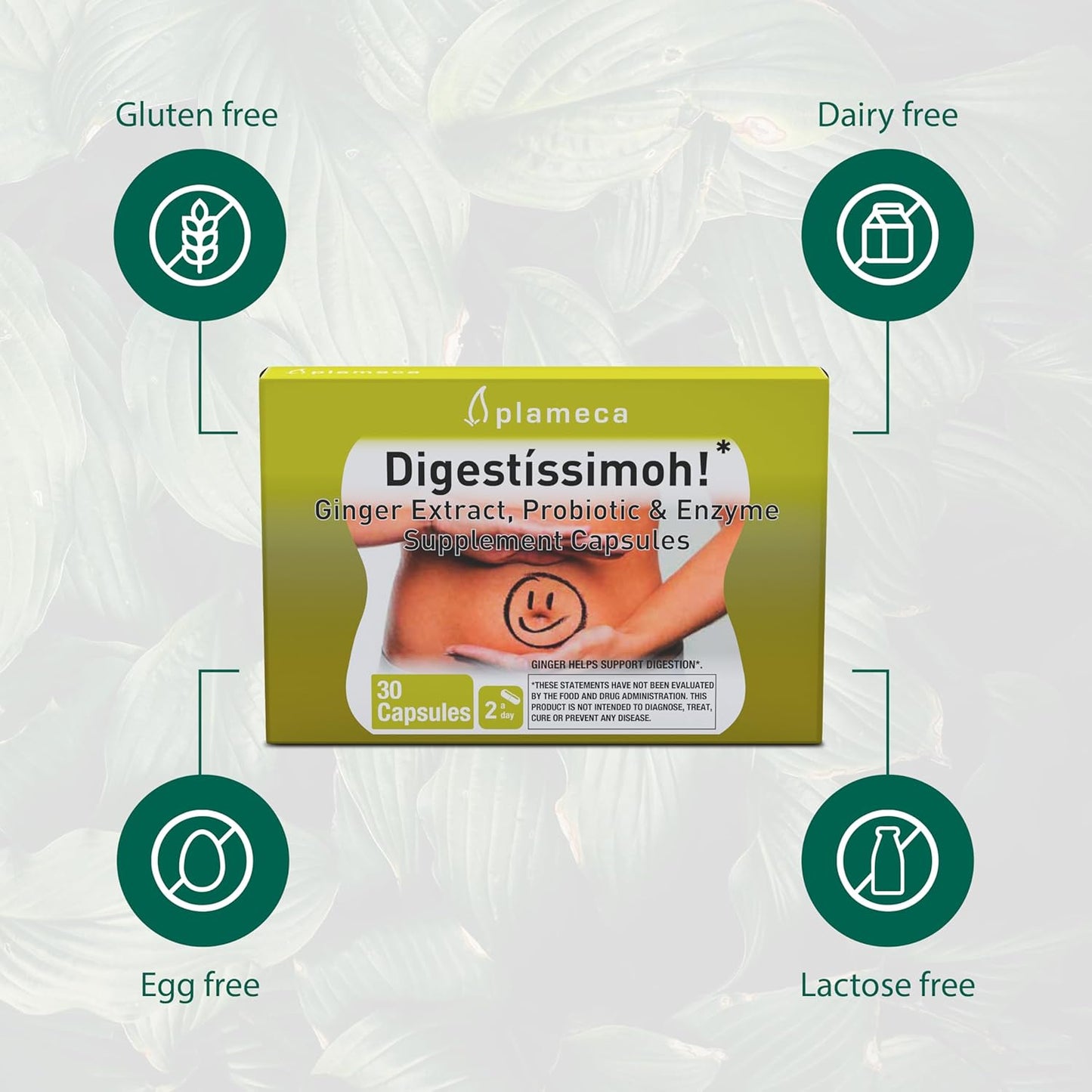 Plameca Digestíssimoh! Digestive Enzymes & Probiotics with Ginger Extract - 9 Strains for Gut Support & Meal Time Relief - Gluten-Free, Dairy-Free - 30 Capsules