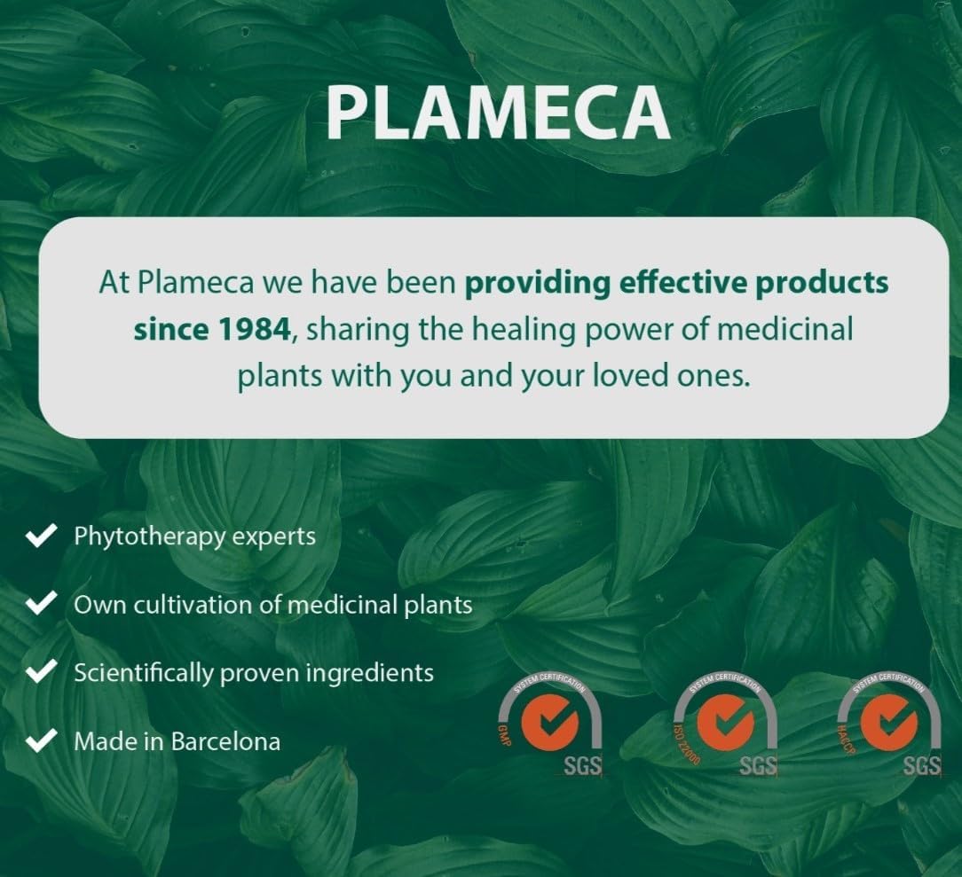 Plameca Digestíssimoh! Digestive Enzymes & Probiotics with Ginger Extract - 9 Strains for Gut Support & Meal Time Relief - Gluten-Free, Dairy-Free - 30 Capsules