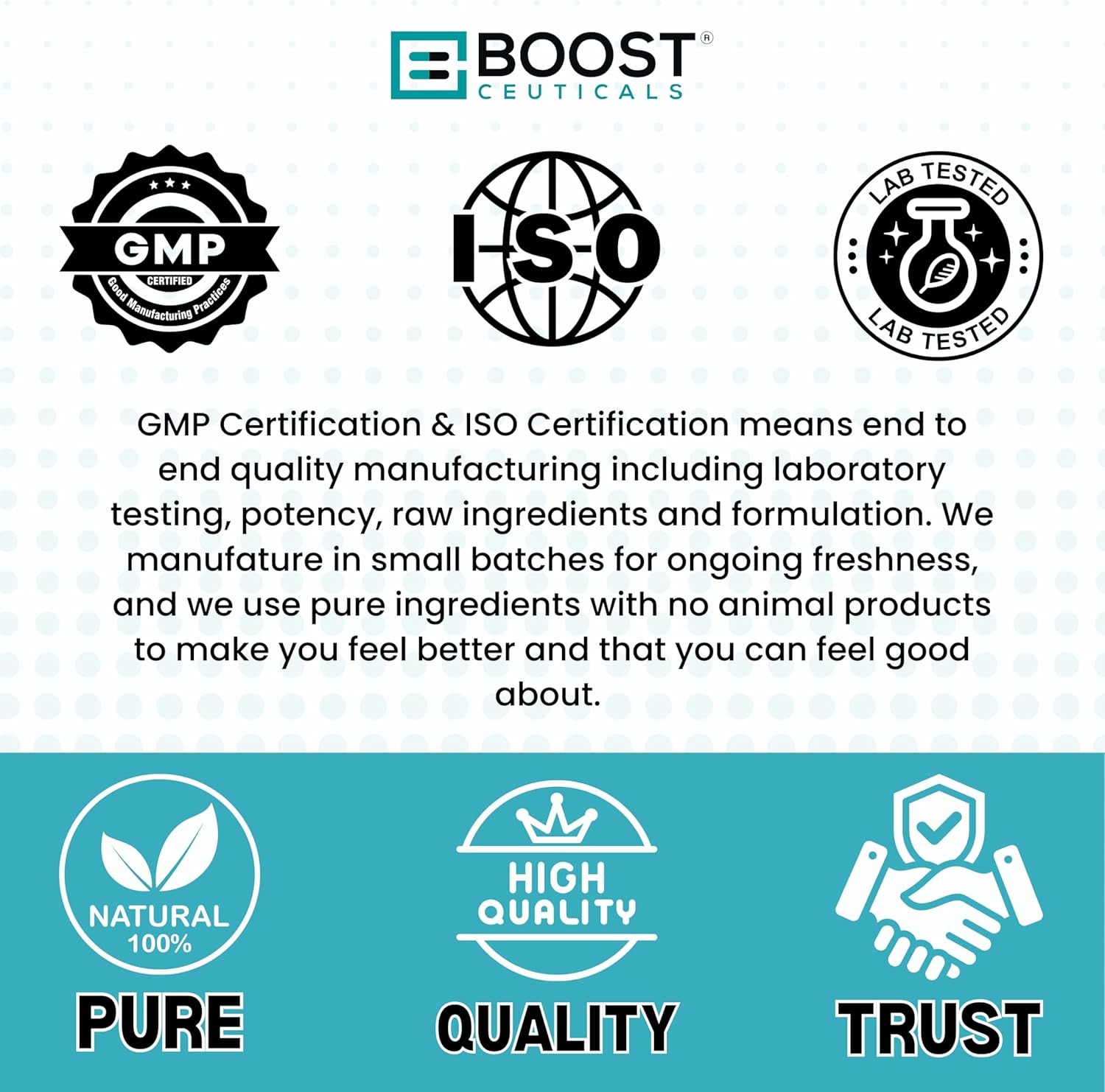 Plant Based Algae Omega 500mg Supplement for Heart and Brain Health - Vegan DHA EPA Omega 3 Formula - No Fish Burps Omega 3 Alternative by BoostCeuticals