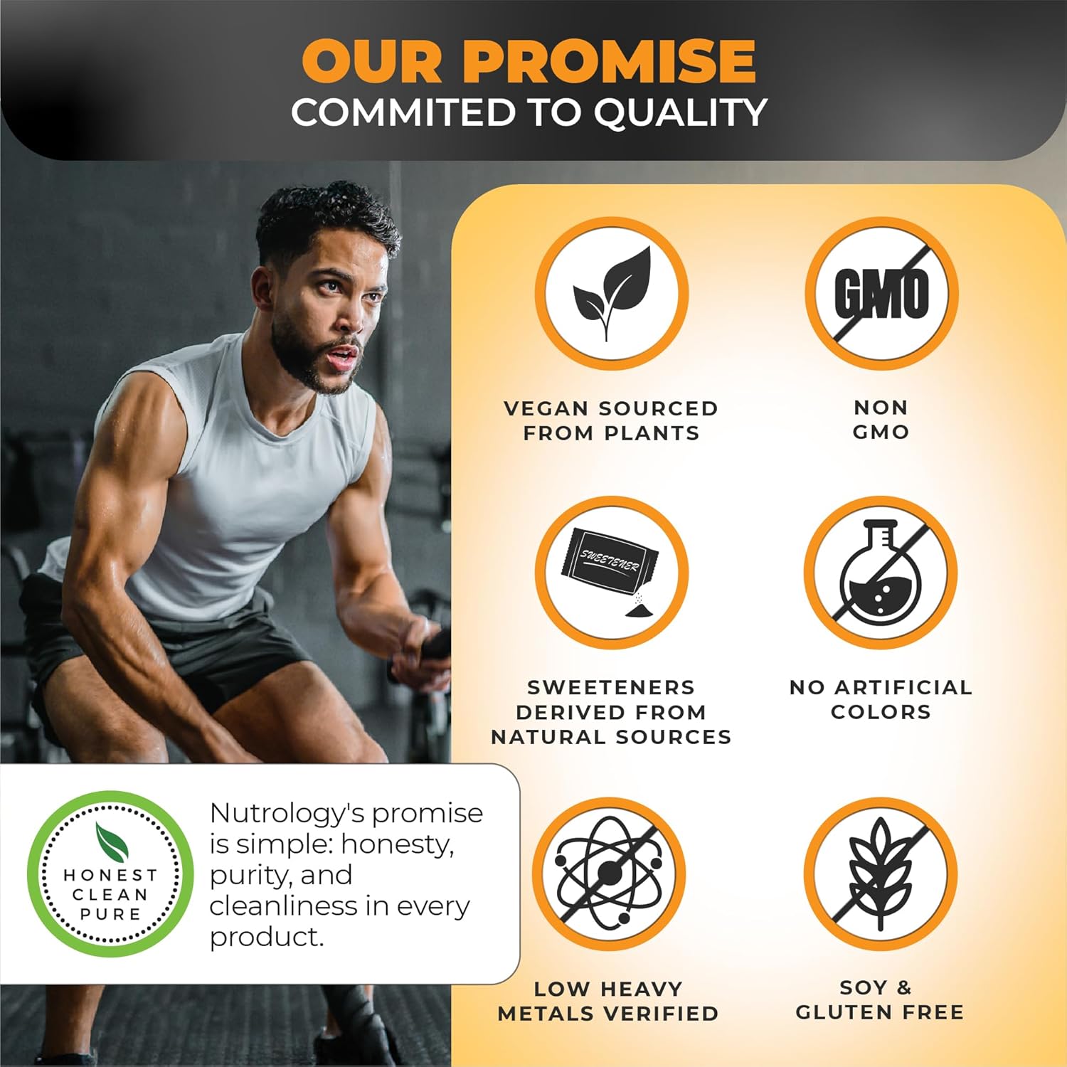 Plant Based BCAA Powder Orange Coconut Flavor - Vegan Amino Acids for Pre and Post Workout Recovery - Non-GMO Gluten-Free Supplement