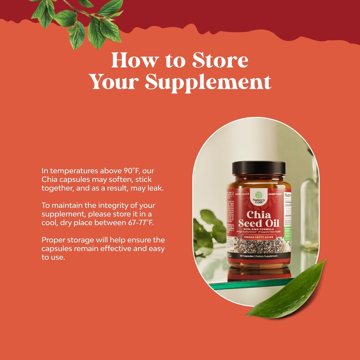 Plant Based Chia Seed Oil Extract Capsules for Digestive Support, Immunity, and Heart Health - Omega 3 6 9 Fatty Acids Supplement for Men and Women