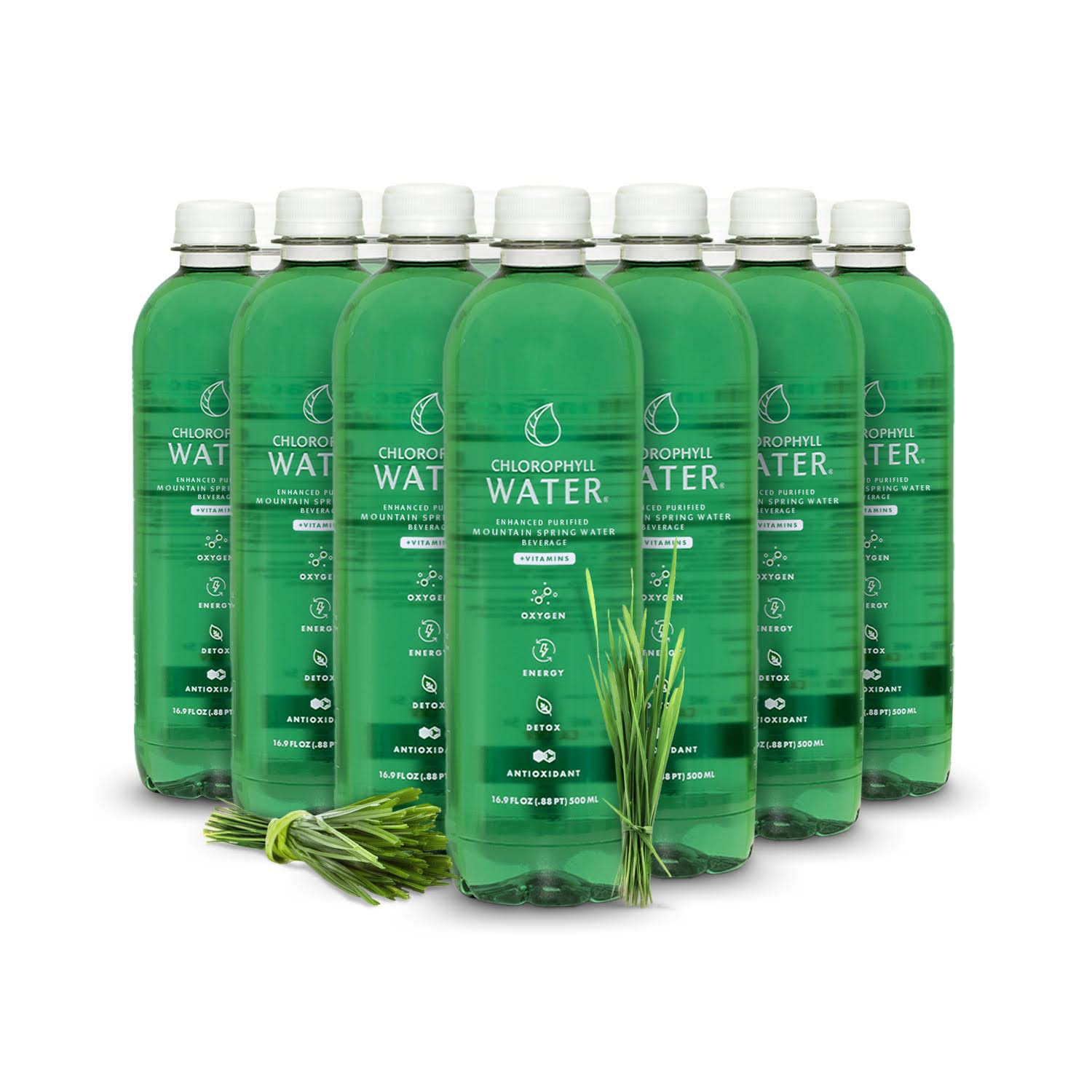 Plant-Based Chlorophyll Water Infused with Vitamins for Antioxidants, Detox, Energy, and Immune Support - 12pk