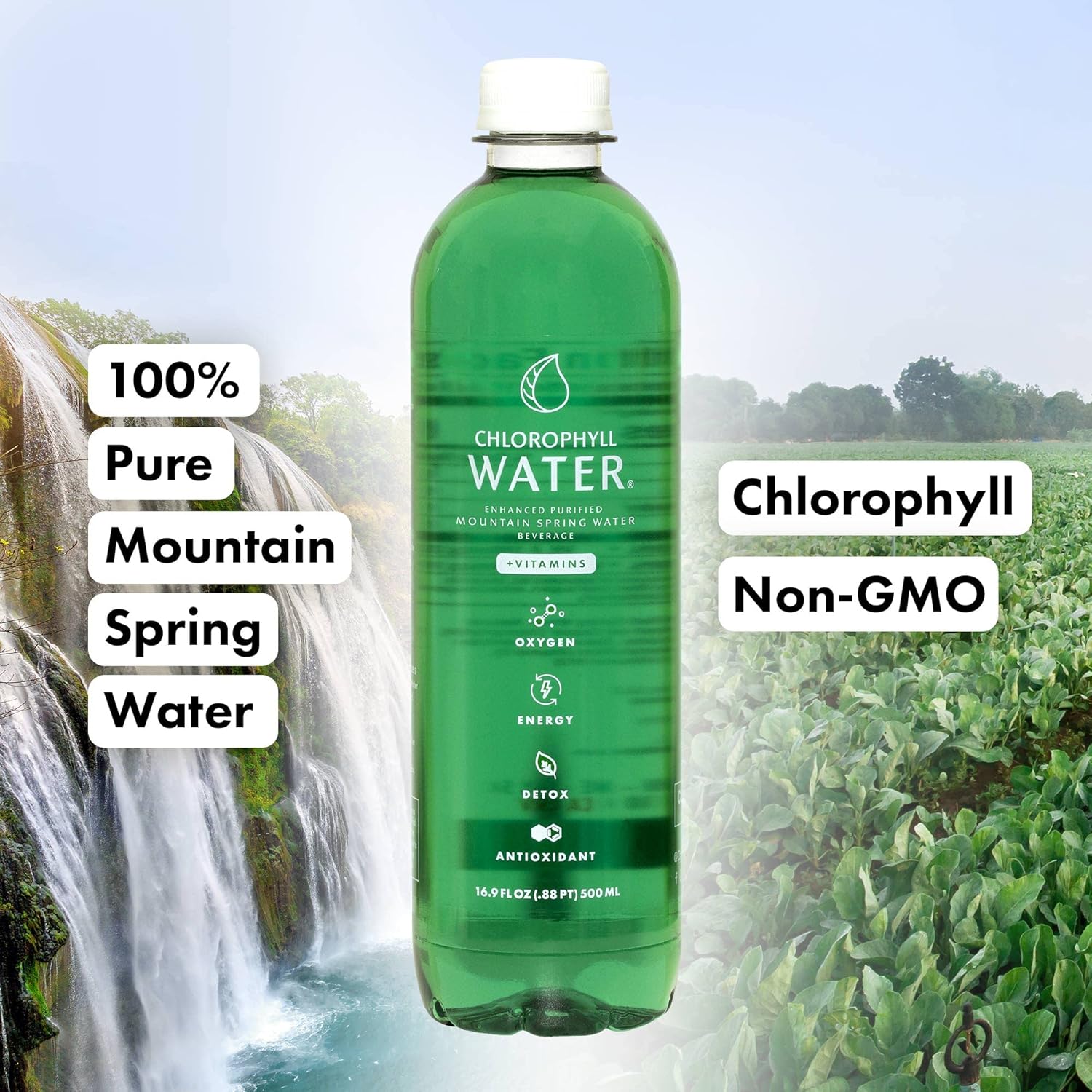Plant-Based Chlorophyll Water Infused with Vitamins for Antioxidants, Detox, Energy, and Immune Support - 12pk