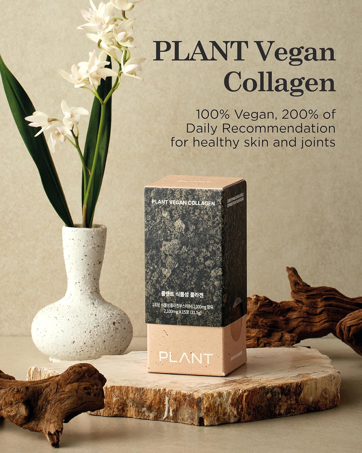 Plant-Based Collagen Powder with Vitamin C - RAWGAPLANT Vegan Collagen (15 Sticks) for Korean Skincare, Low-Molecular Peptides