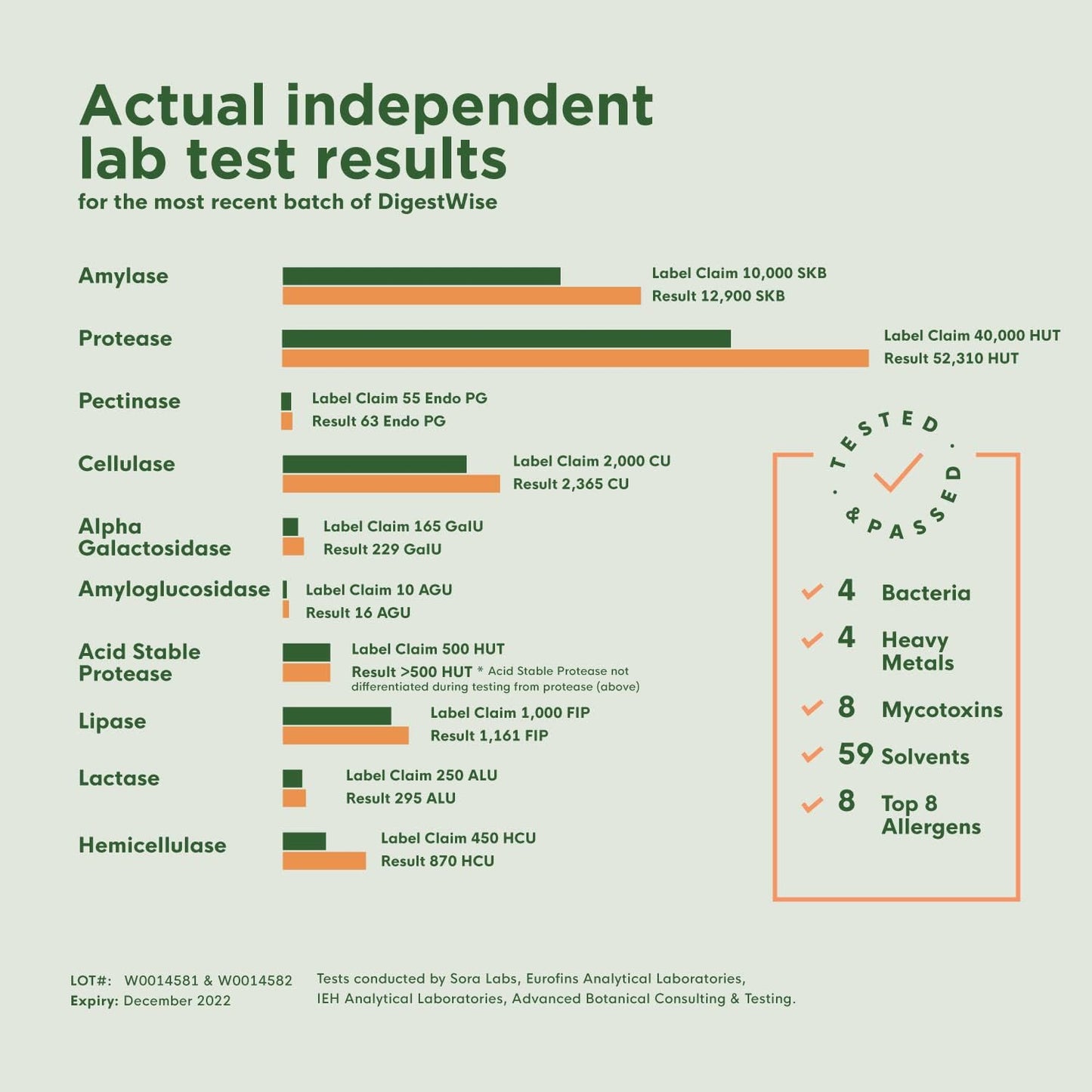 Plant-Based Digestive Enzymes - Vegan Support for Digestion, Gas, Bloating & Constipation - Keto Friendly - Lab Tested - 90 Capsules