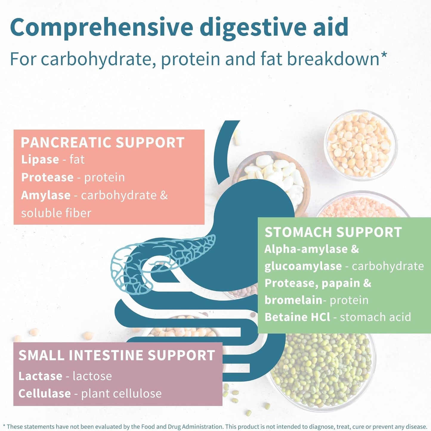 Plant-Based Digestive Enzymes & Betaine HCl Supplement for Women and Men - 6 Pack