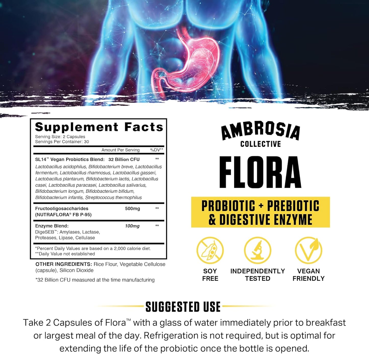 Plant Based Digestive Health Supplement with Probiotics, Prebiotics, and Enzymes - 32 Billion CFU, Vegan, 30 Servings