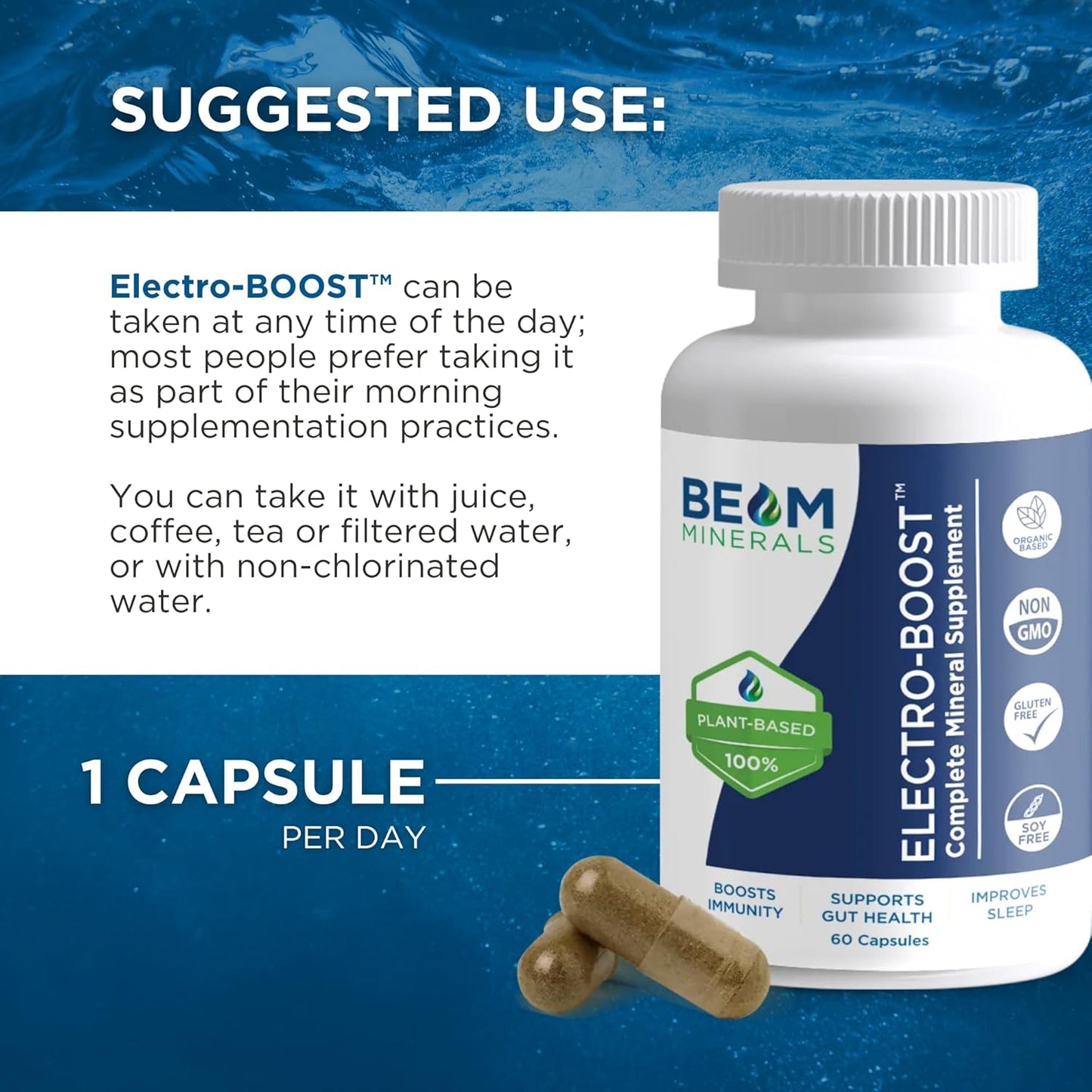 Plant-Based Electrolyte and Micronutrient Capsules for Immunity, Gut Health, and Sleep - 60 Capsules