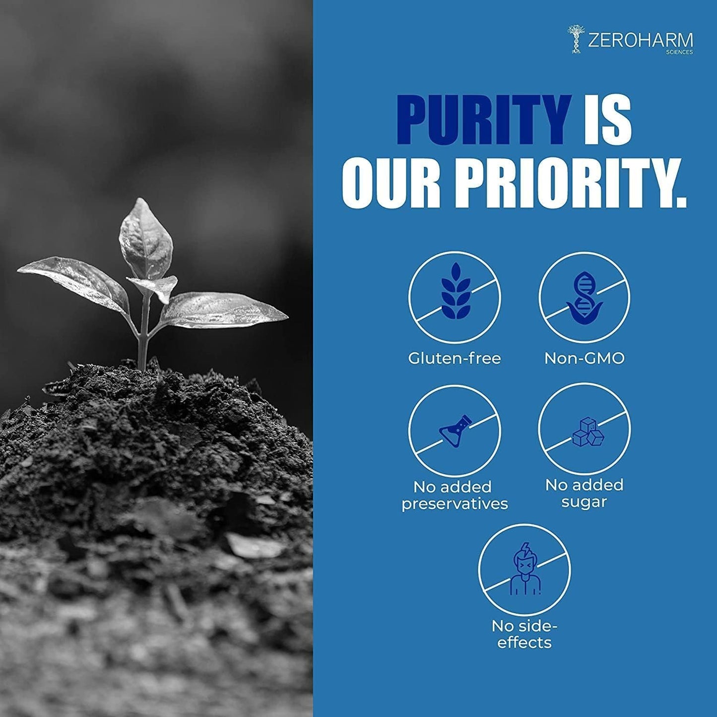 Plant-Based Iron, Folic Acid, and Zinc Tablets for Anemia, Energy, Strength, Brain Function, and Athletic Performance