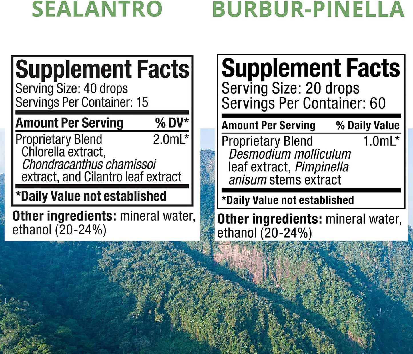 Plant-Based Liquid Detox Drops & Capsules Set - NutraMedix 3-Piece Kit with Sealantro, Burbur-Pinella & Magnesium Malate for Cleansing & Daily Wellness Support