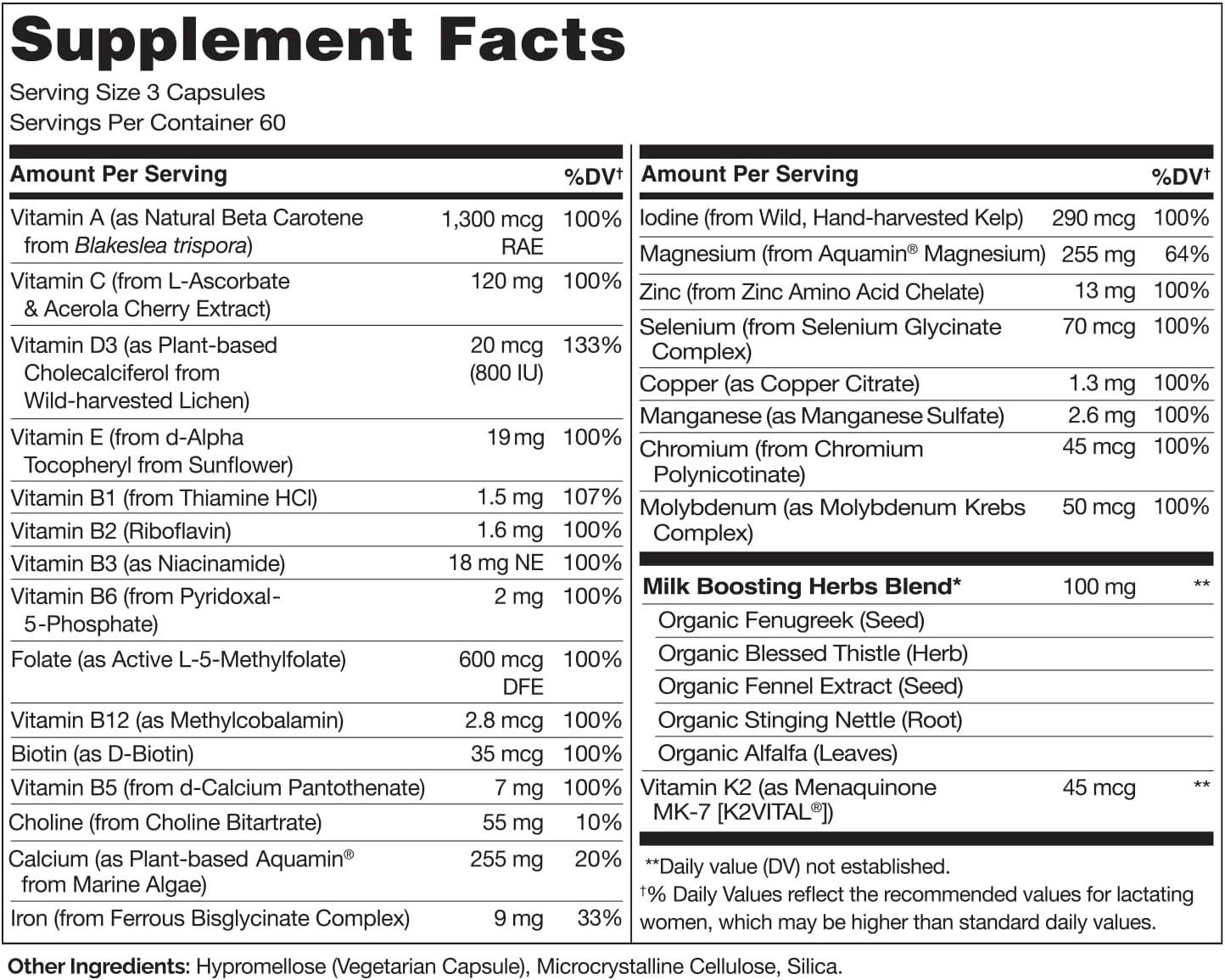 Plant-Based Postnatal Multivitamin for Breastfeeding Women - Gentle Iron, Folate, Vitamin D - Lactation Support for Nursing Mother & Baby - 180 Count