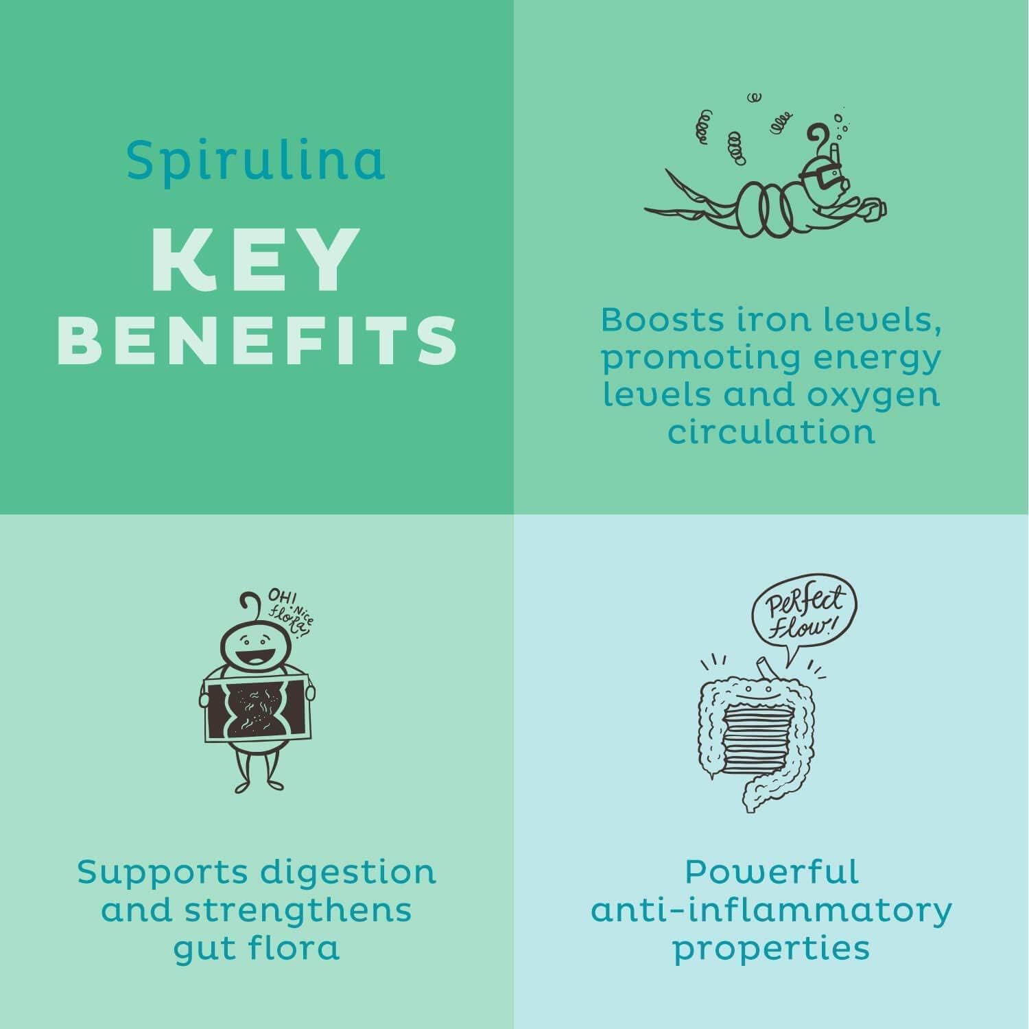 Plant-Based Vanilla Protein Powder, Organic Spirulina, and Greens Bundle for Immunity Boosting