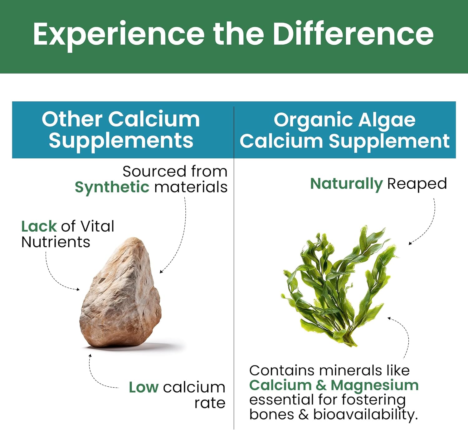 Plant-Based Vegan Calcium Supplement with Vitamin D3, K2, and Magnesium - 120 Tabs of Algae Calcium for Strong Bones and Immune Support