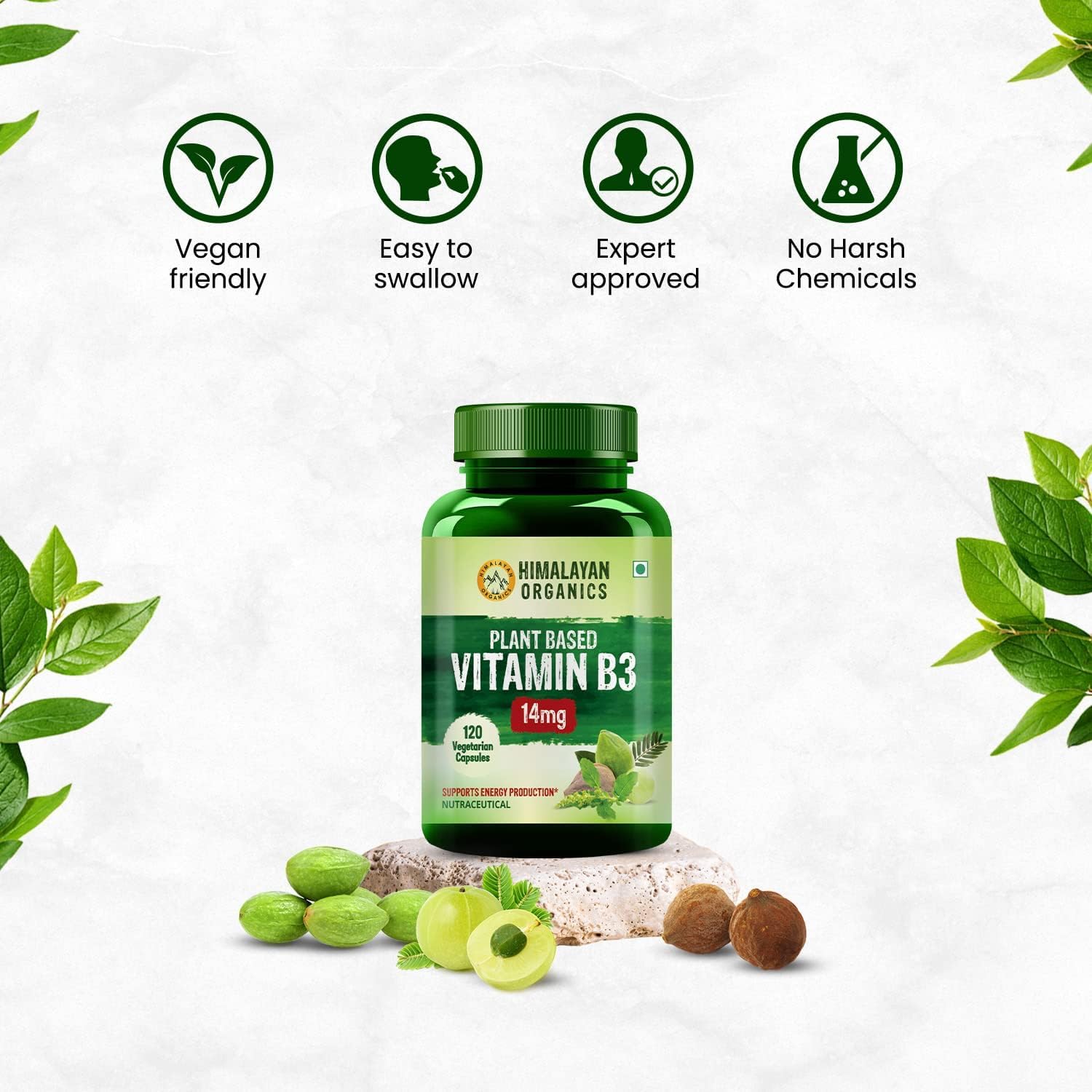 Plant-Based Vitamin B3 Supplement | Promotes Skin and Heart Health - 120 Capsules