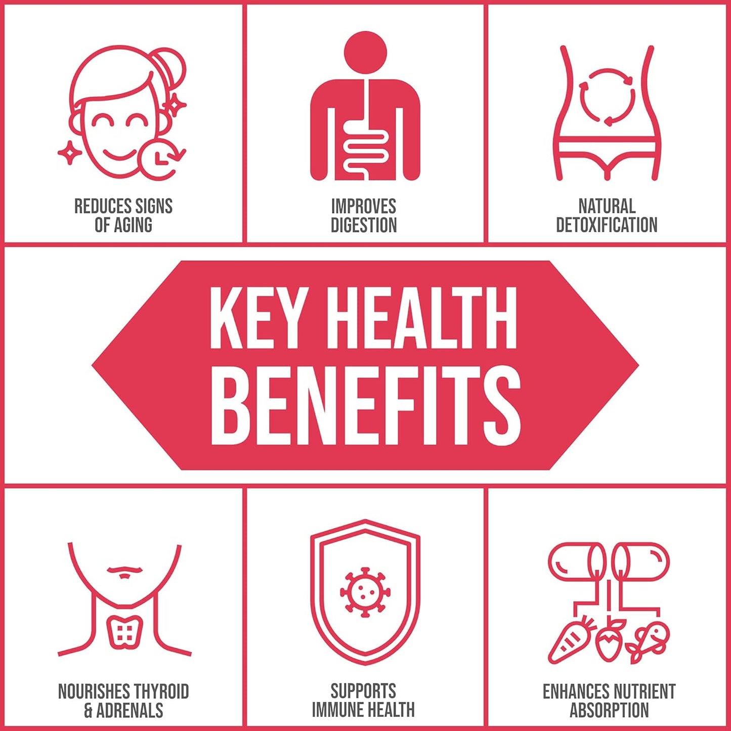 Plant-Derived Trace Mineral Supplement for Immunity & Detox | Body Ecology Ancient Earth Minerals | Non-GMO | 120 Capsules