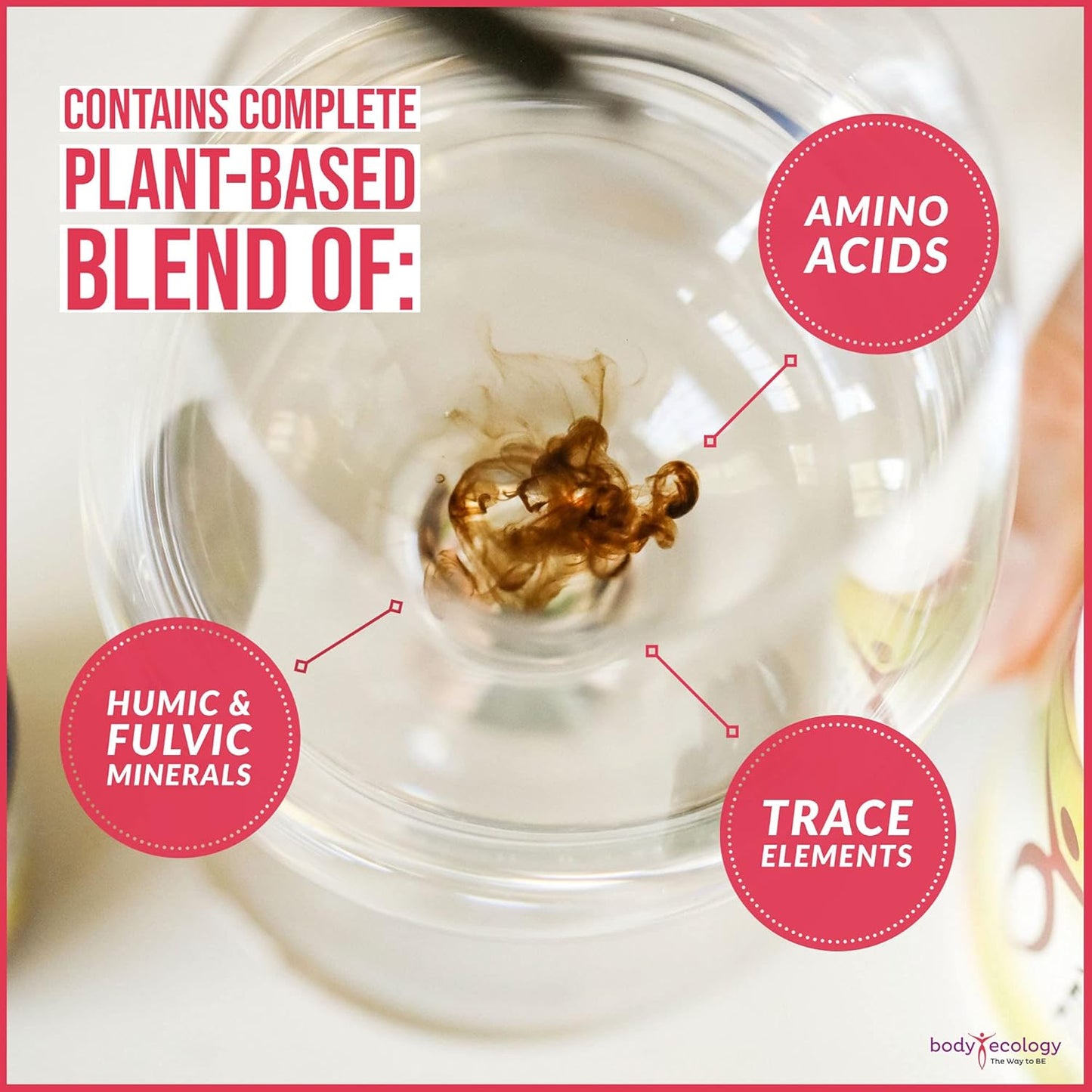 Plant-Derived Trace Mineral Supplement for Immunity & Detox | Body Ecology Ancient Earth Minerals | Non-GMO | 120 Capsules