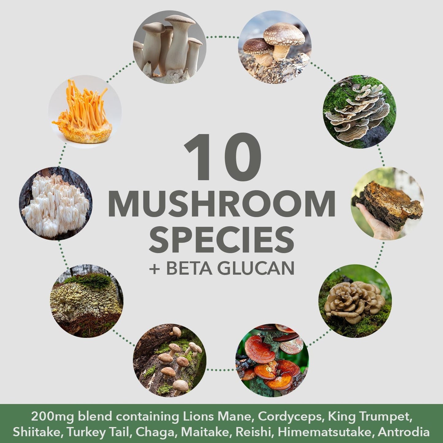 Plantfusion Mushroom Protein Powder - 3-in-1 Vegan Protein, Mushroom & Adaptogen Supplement for Mental Focus, Immunity & Recovery - Vanilla - 1lb